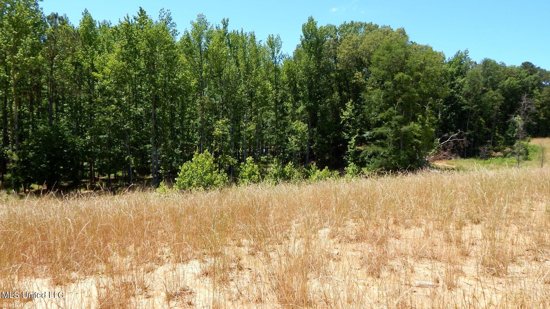 205 Hugh White State Park Road Property Photo 6