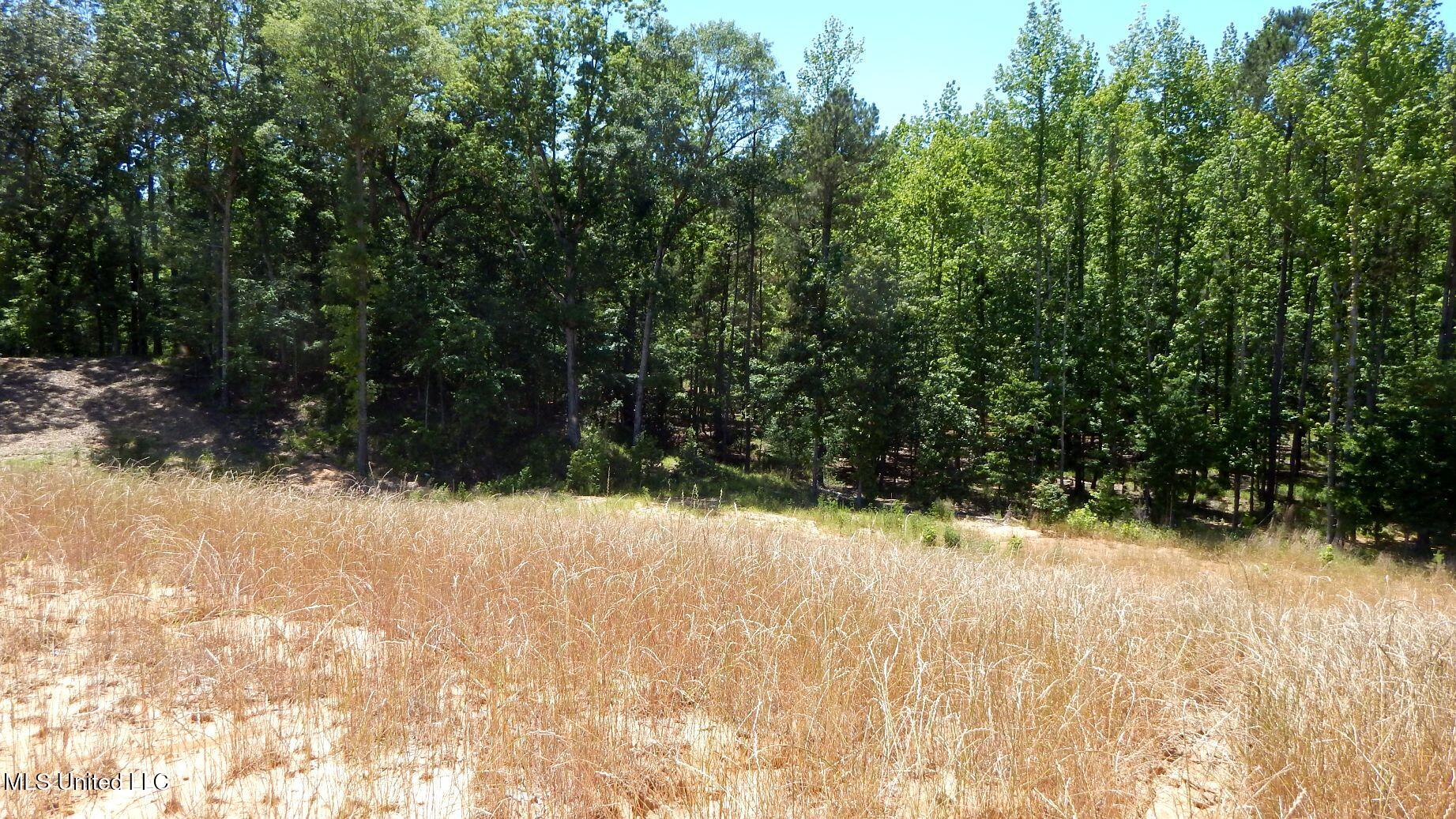 205 Hugh White State Park Road Property Photo 7