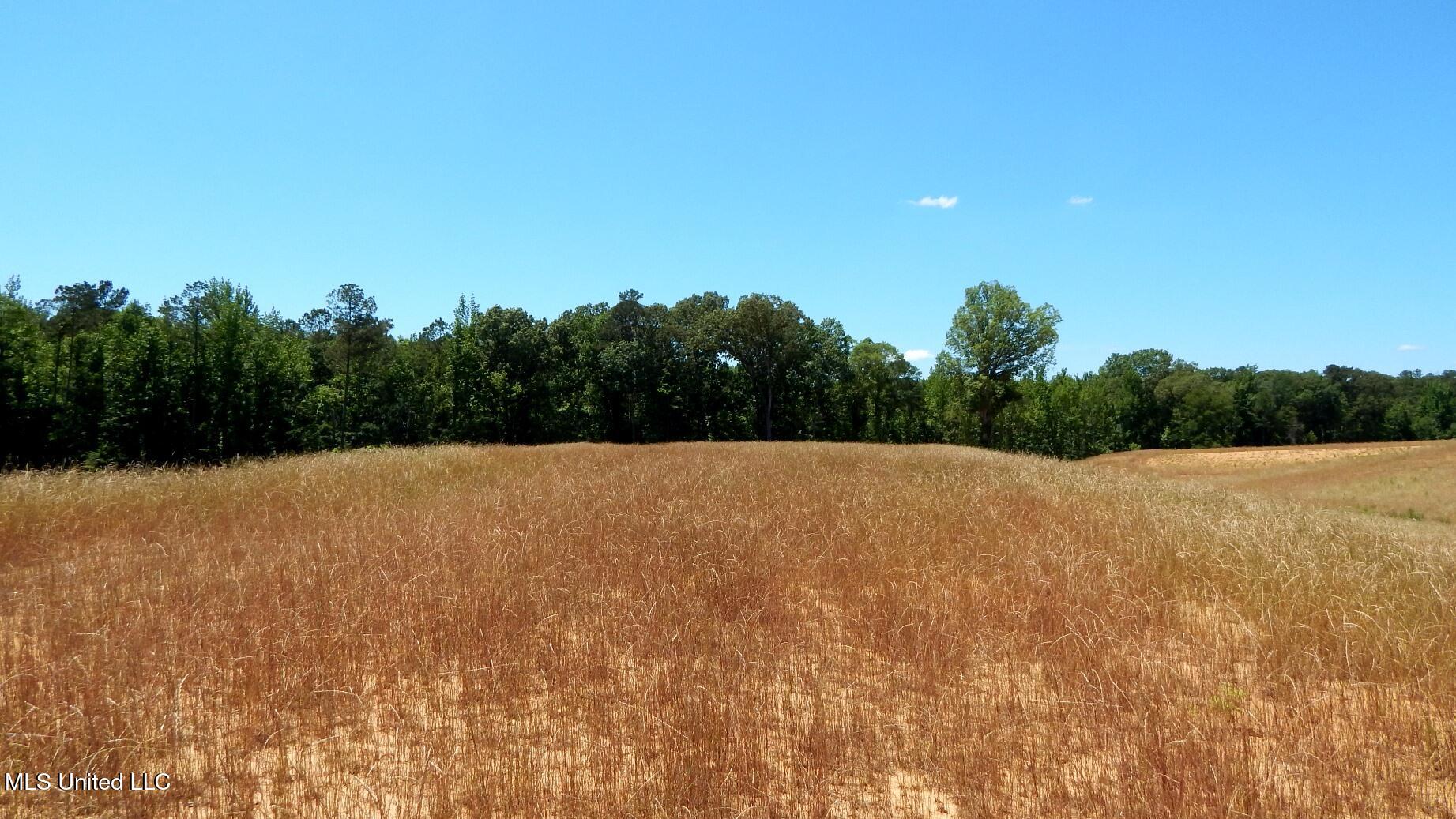 206 Hugh White State Park Road Property Photo 1