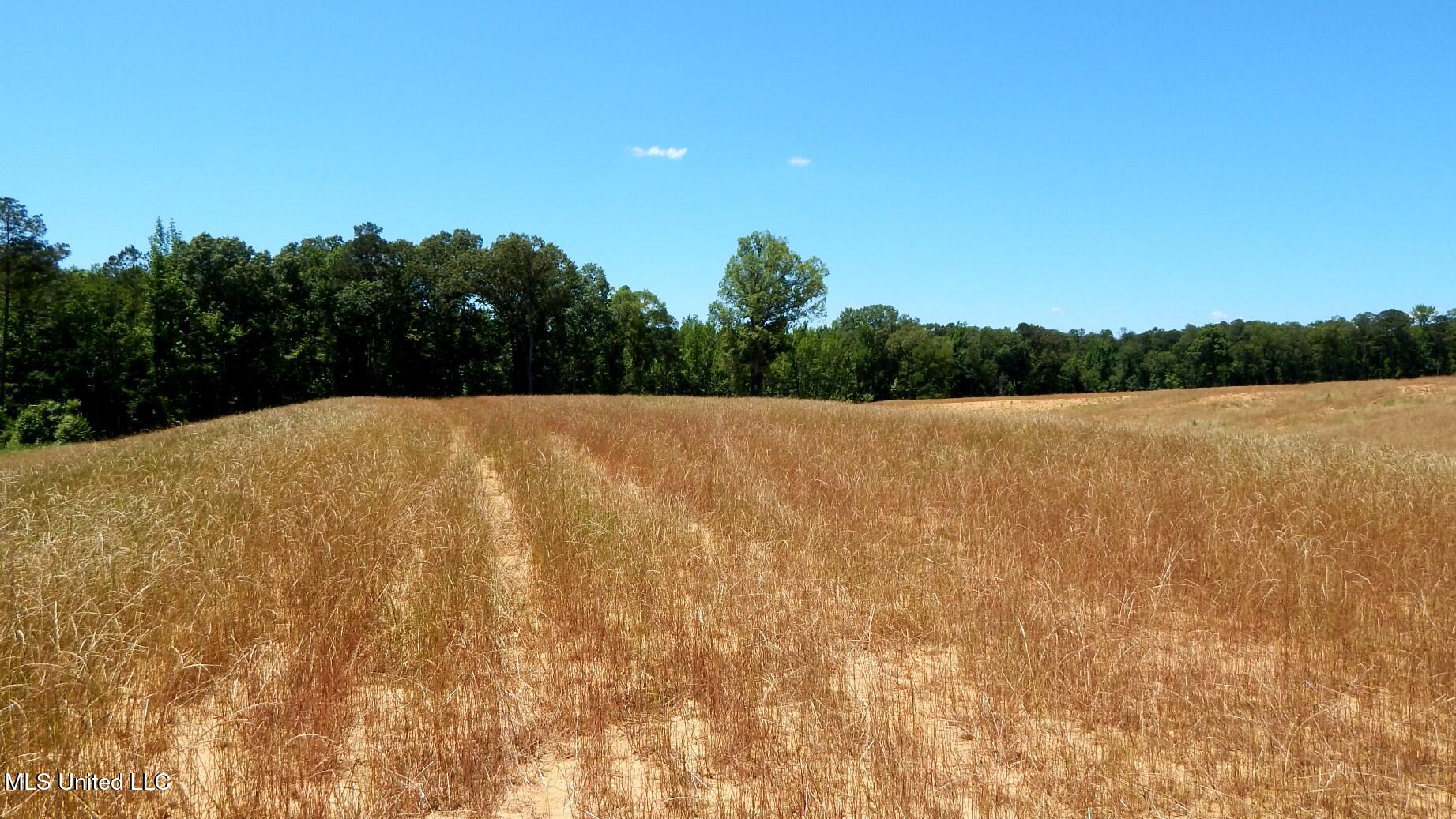 206 Hugh White State Park Road Property Photo 2