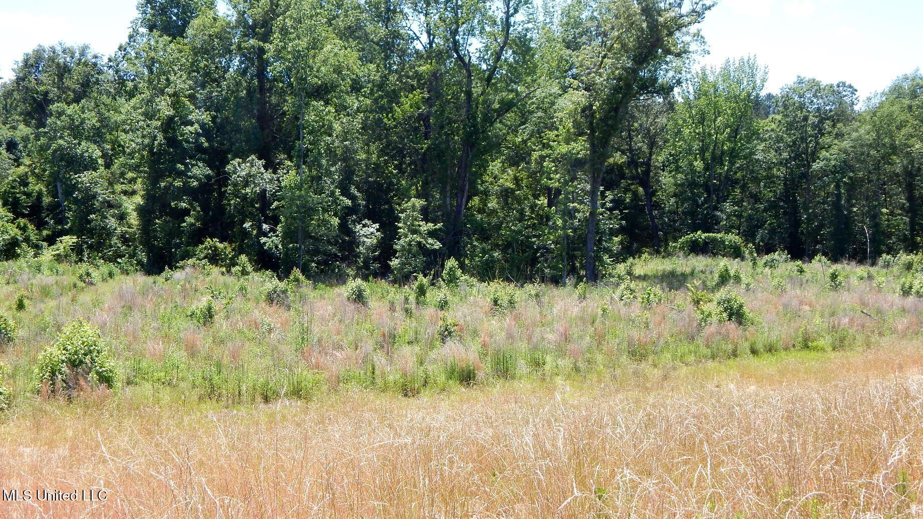 206 Hugh White State Park Road Property Photo 5