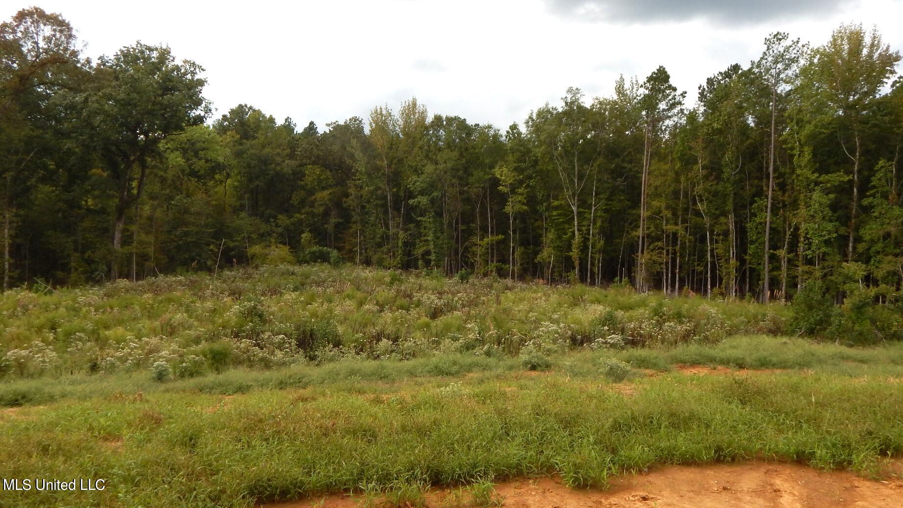 206 Hugh White State Park Road Property Photo 10