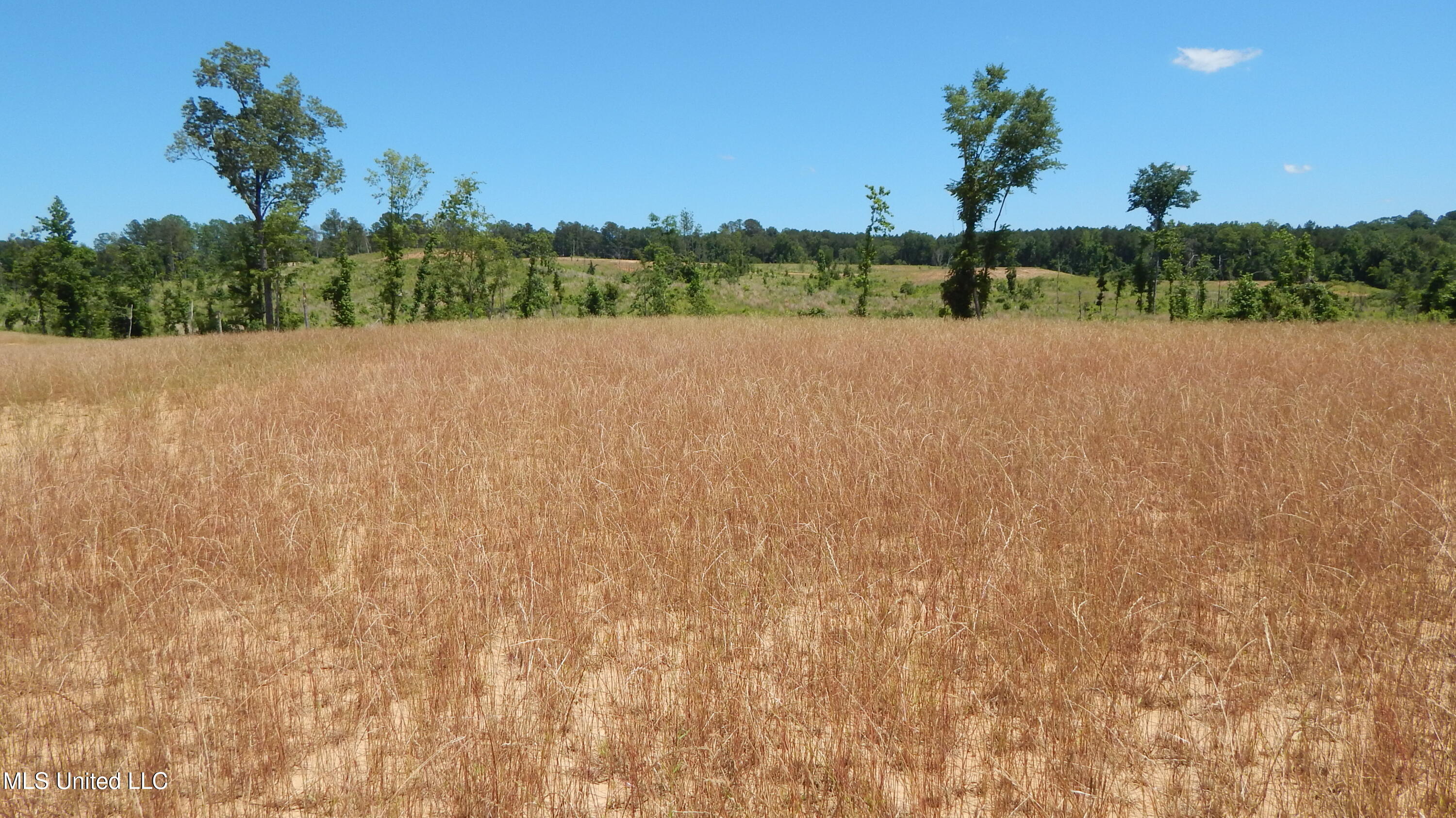 207 Hugh White State Park Road Property Photo 1