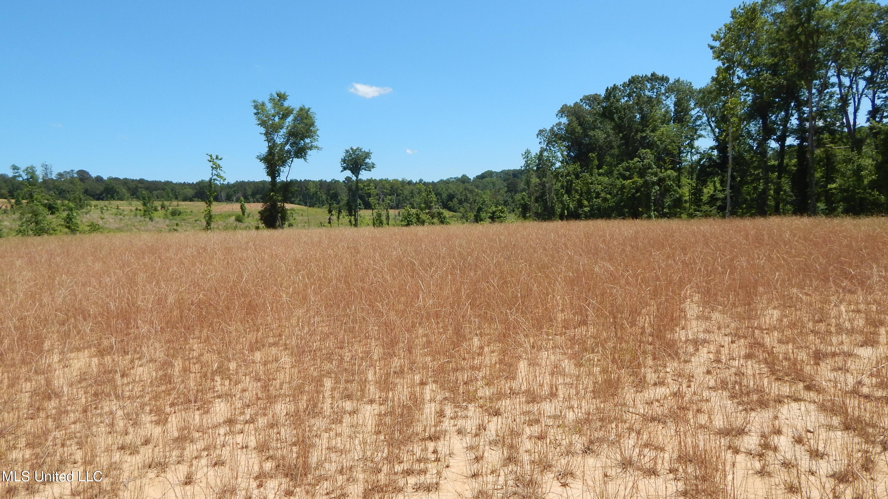 207 Hugh White State Park Road Property Photo 2