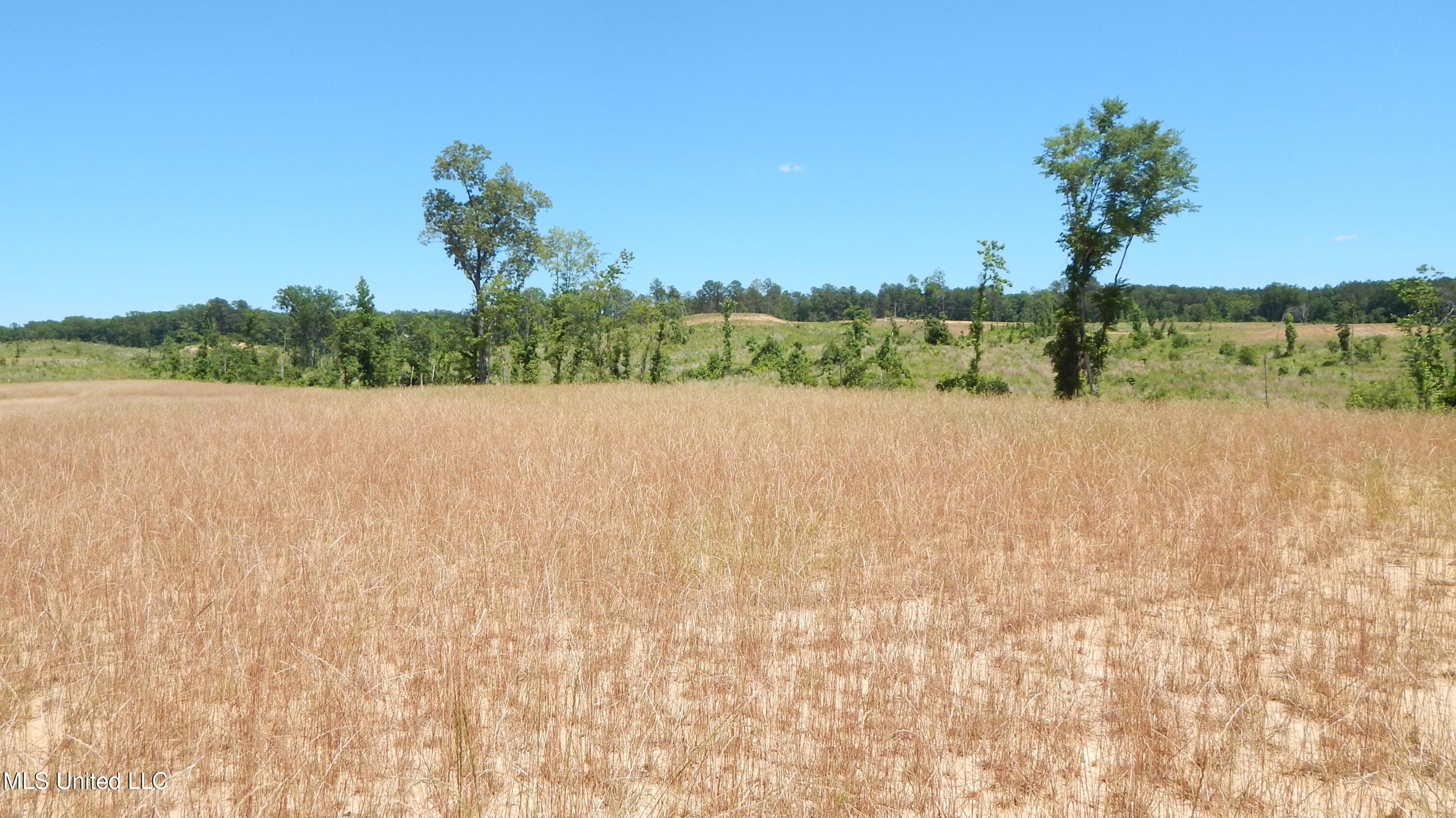207 Hugh White State Park Road Property Photo 4