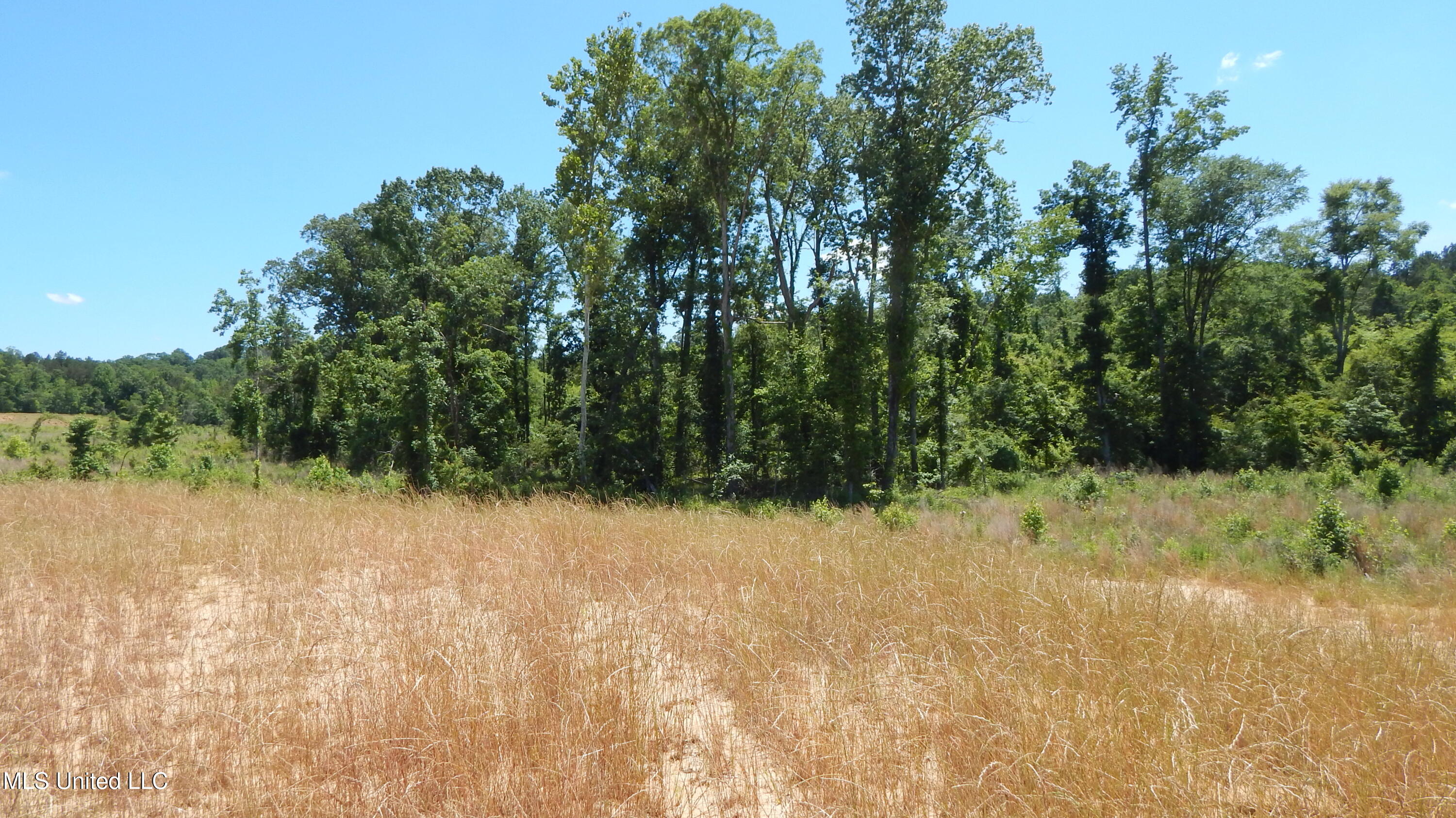 207 Hugh White State Park Road Property Photo 5