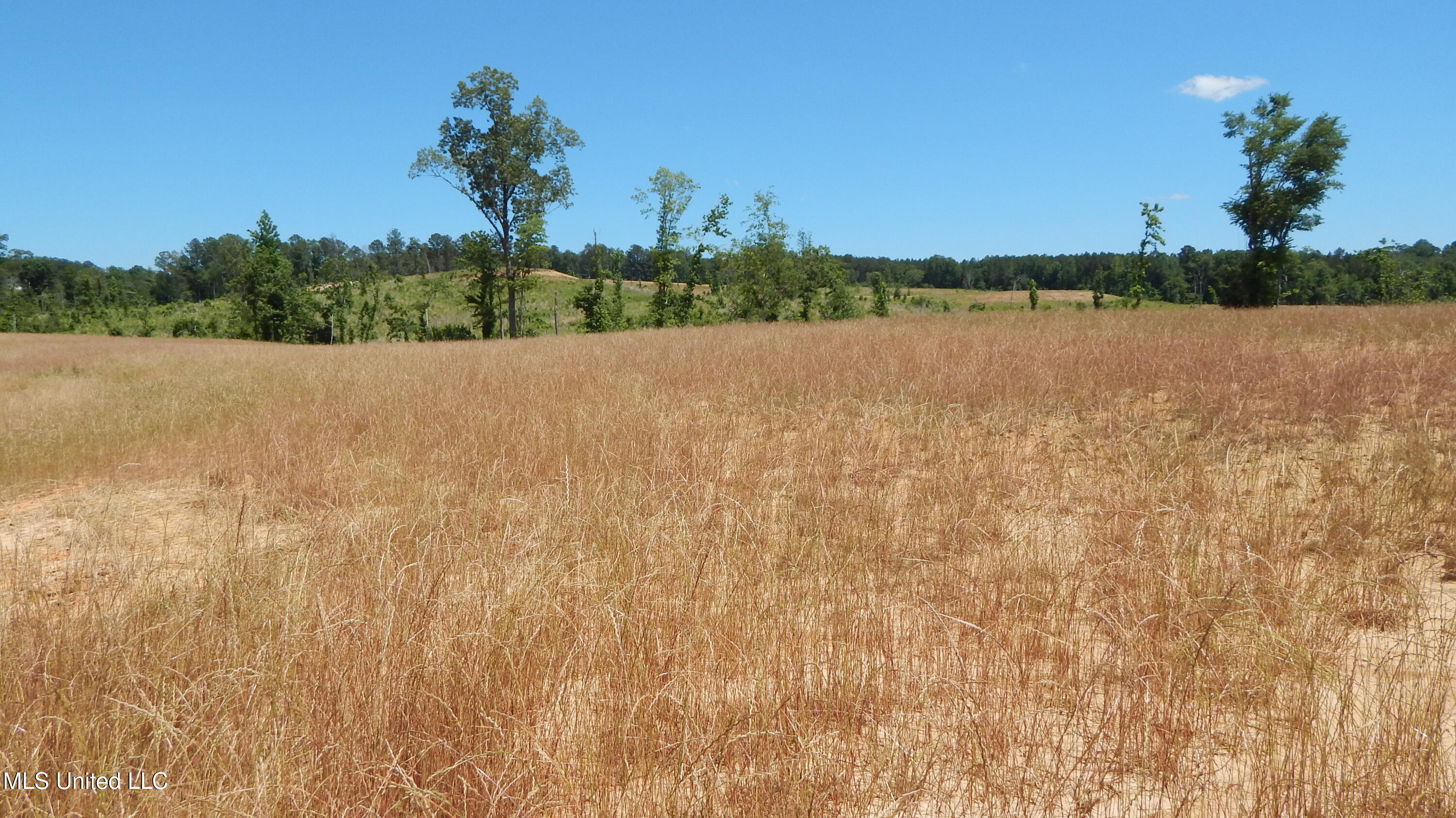 207 Hugh White State Park Road Property Photo 6