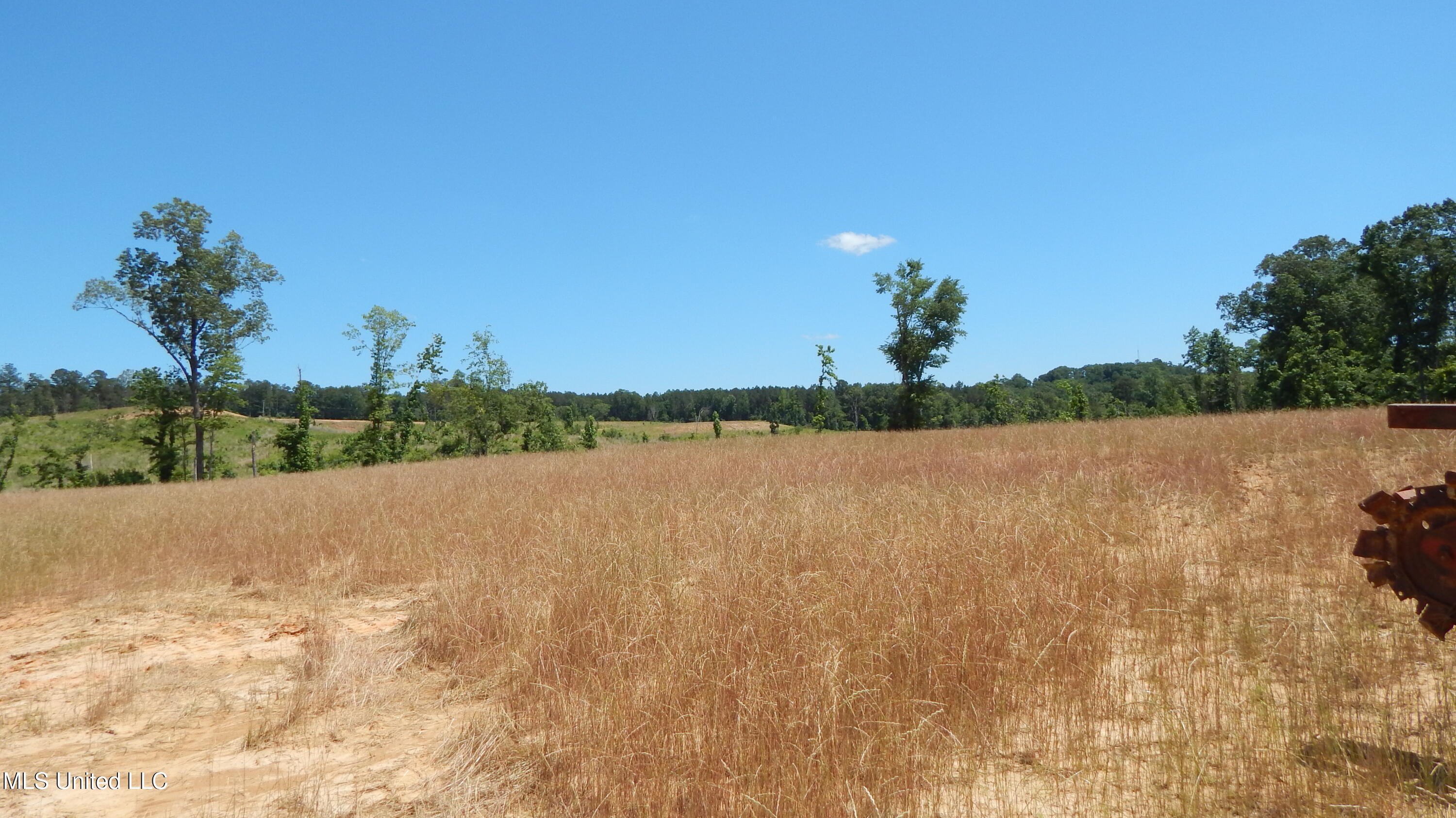 207 Hugh White State Park Road Property Photo 7