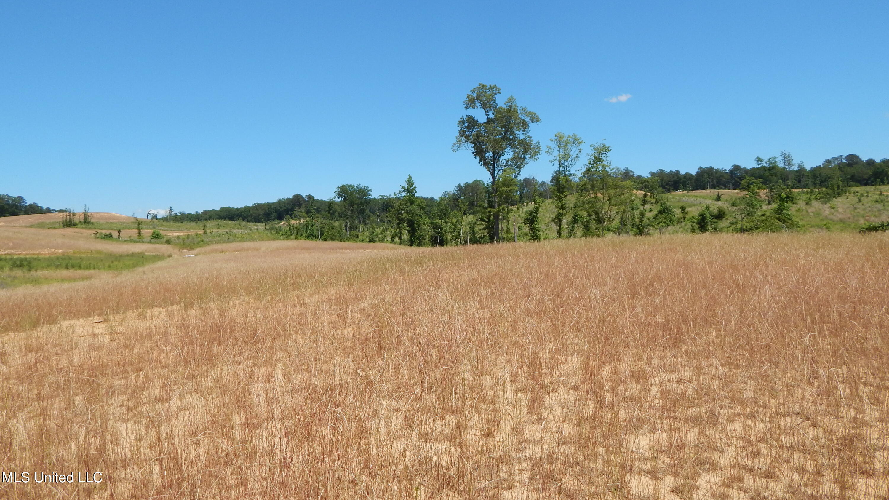 207 Hugh White State Park Road Property Photo 8
