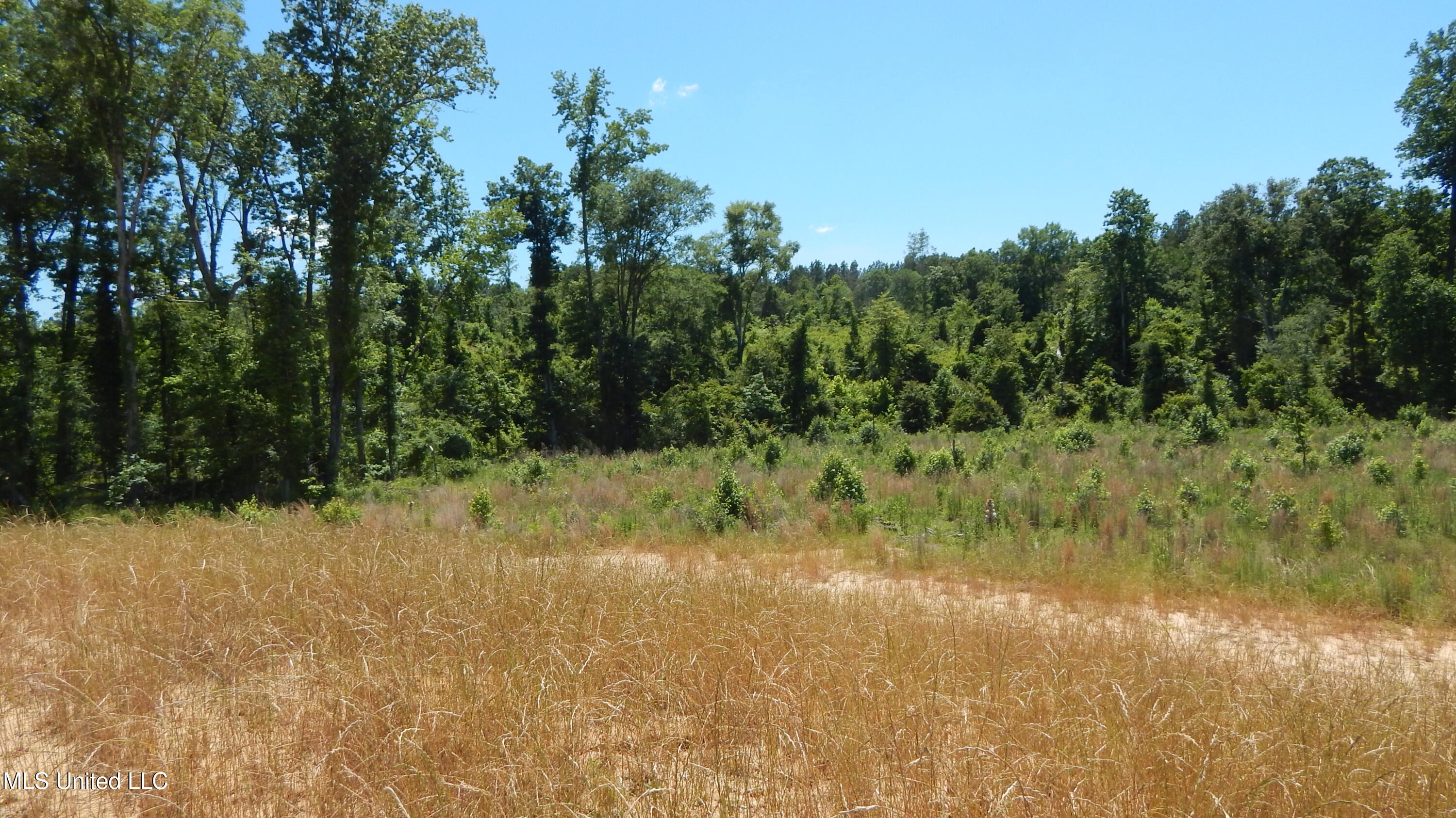 207 Hugh White State Park Road Property Photo 9