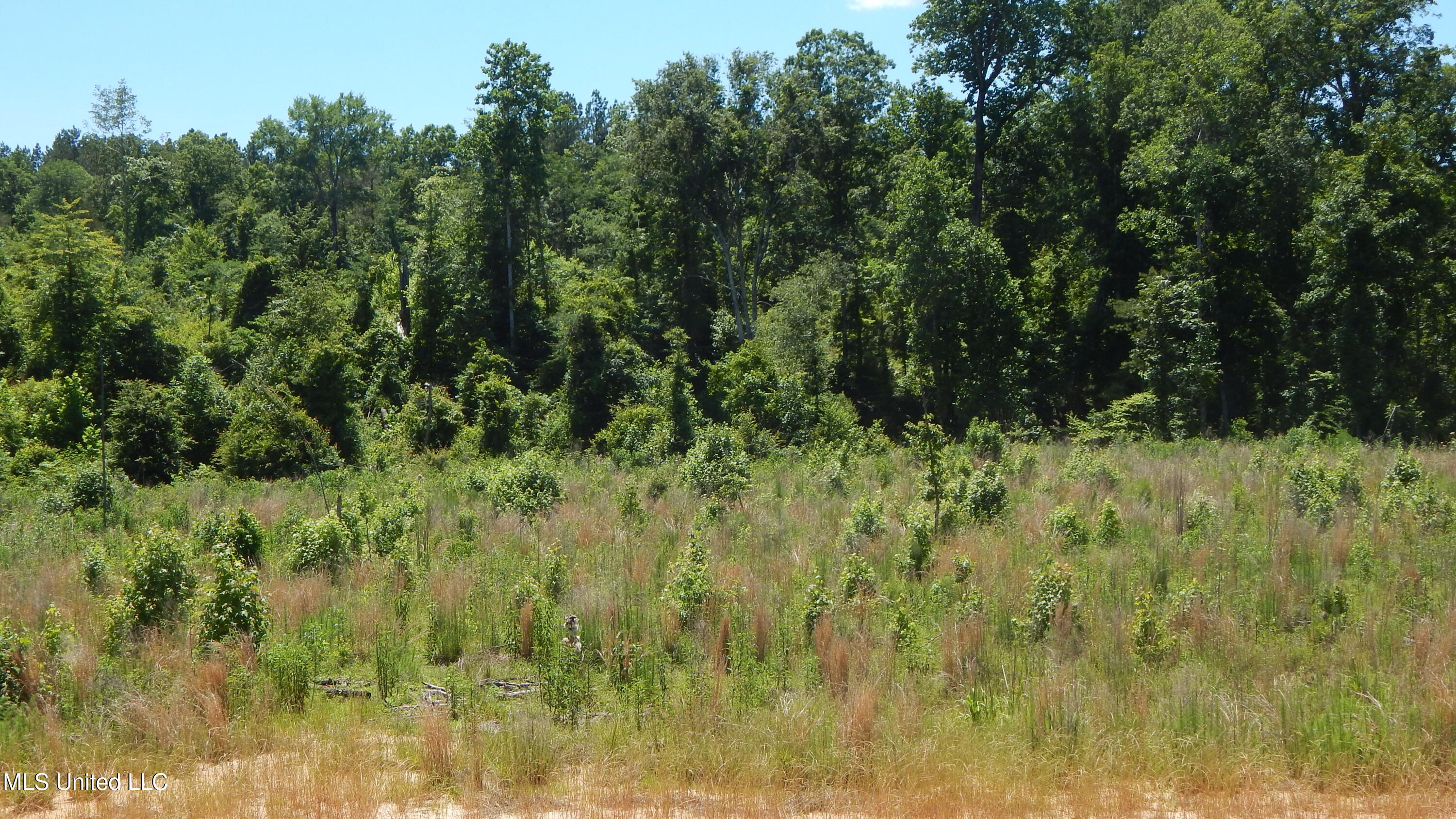 207 Hugh White State Park Road Property Photo 10