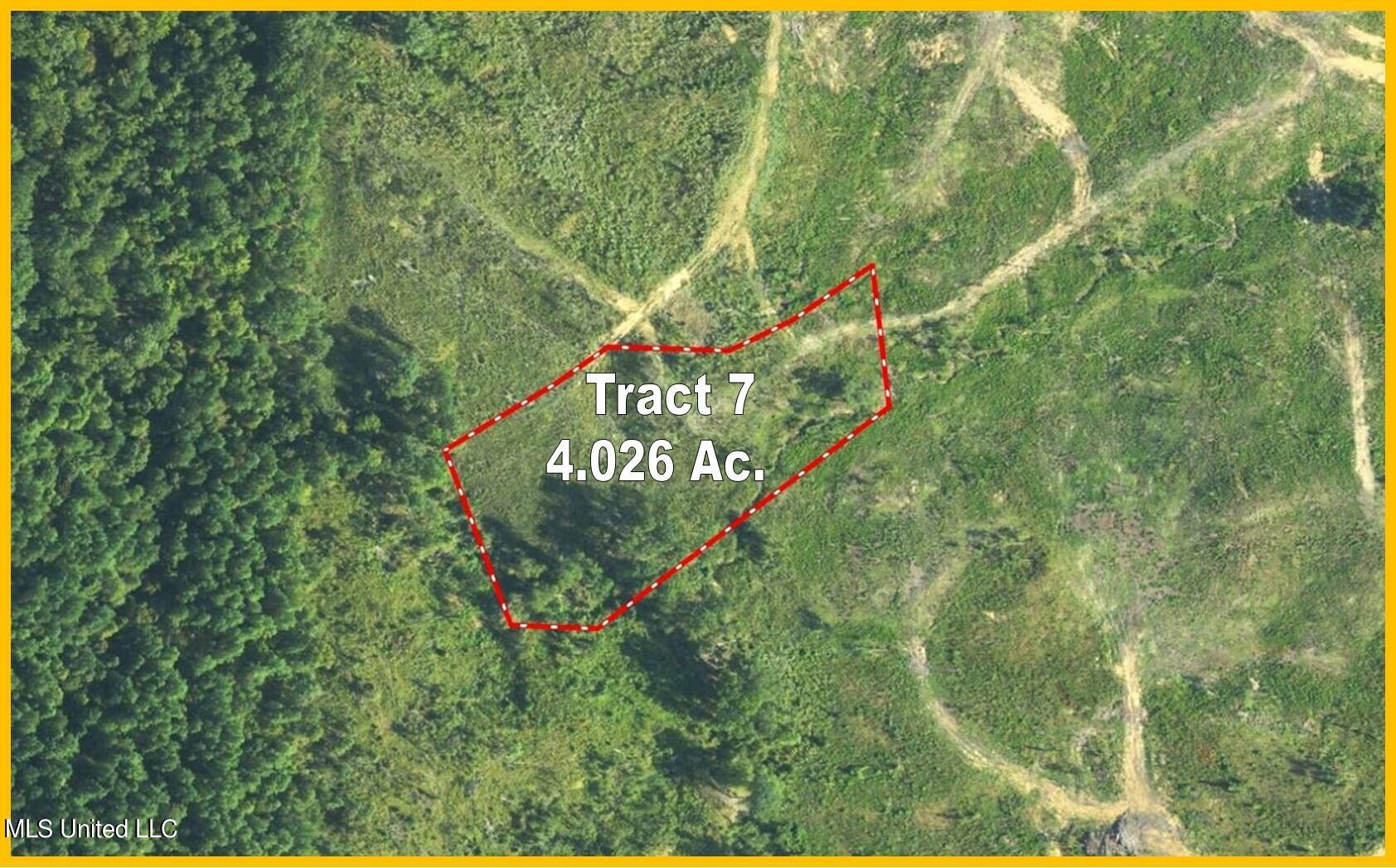 207 Hugh White State Park Road Property Photo 11