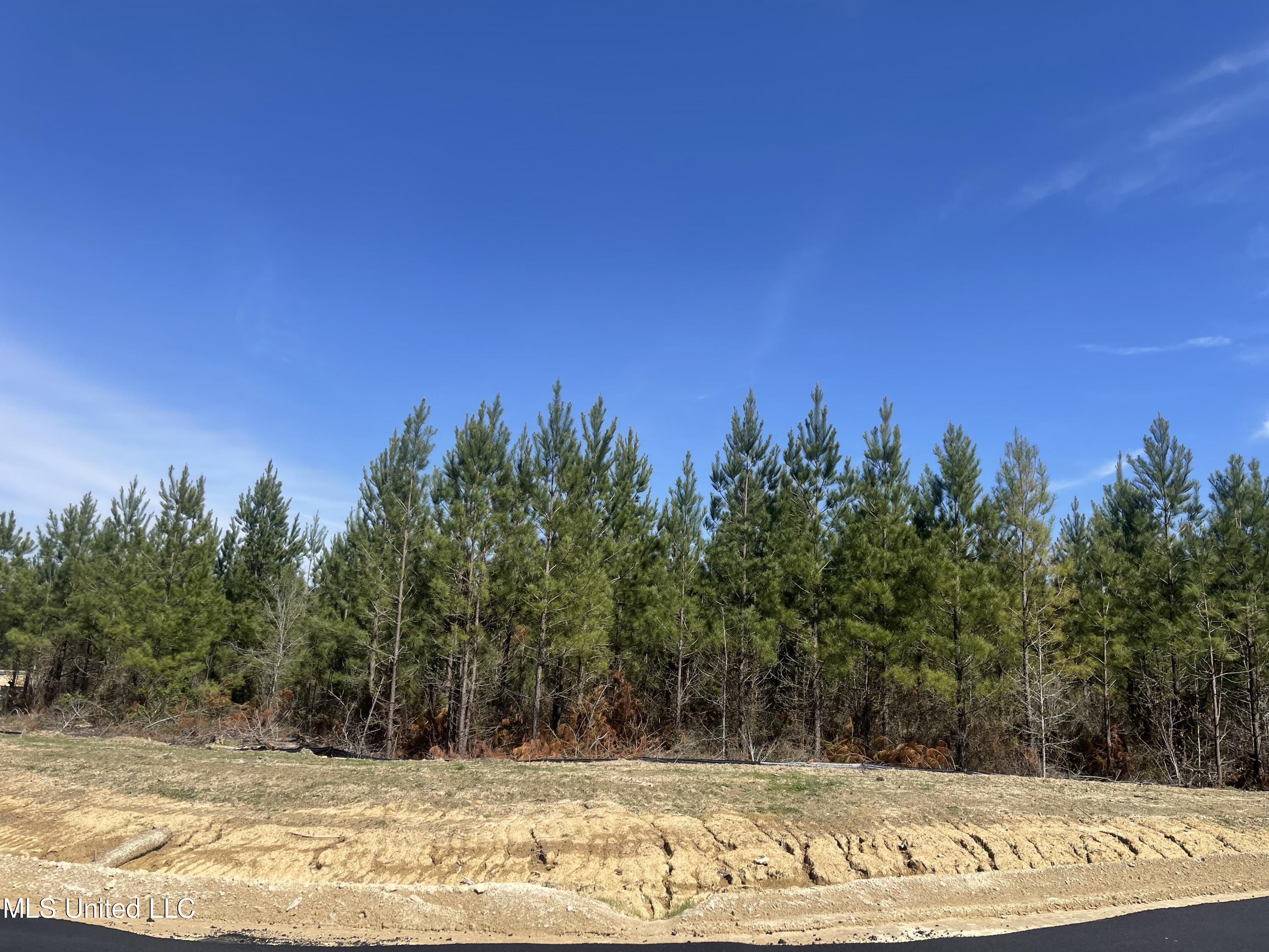 762 Freedom Ridge Lane Property Photo 1
