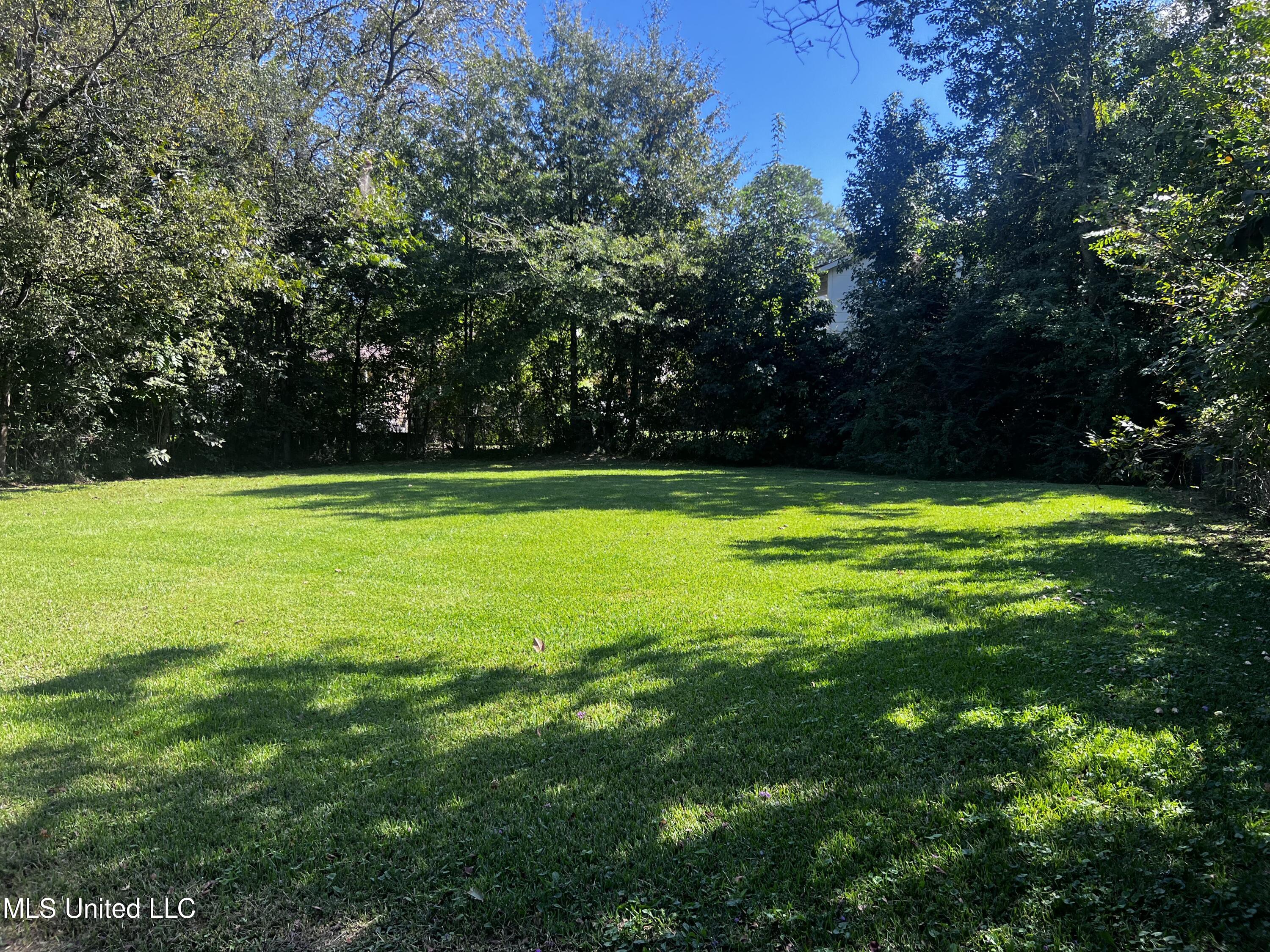 742 Brandon Avenue Property Photo 9