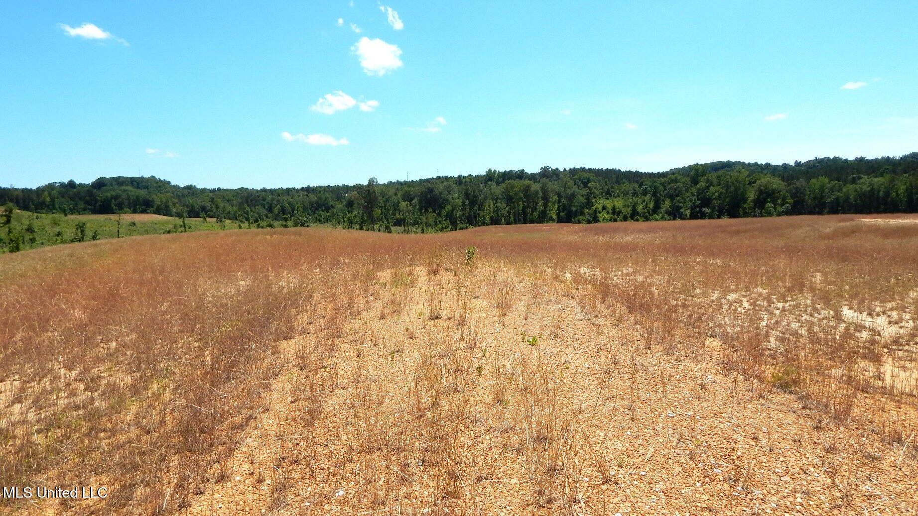 209 Hugh White State Park Road Property Photo 1