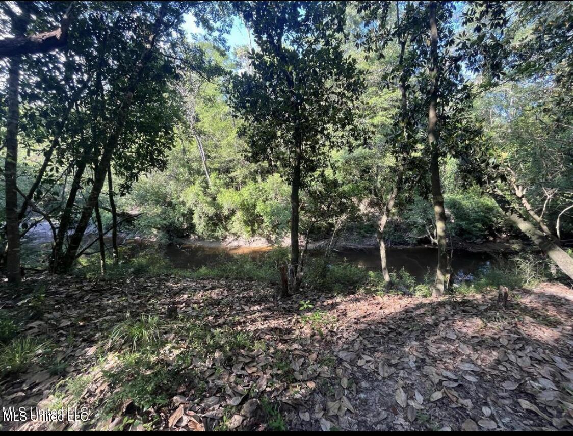 20454 Saucier Advance Road Property Photo 3