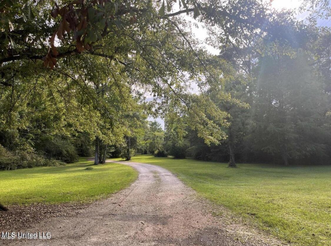 20454 Saucier Advance Road Property Photo 33