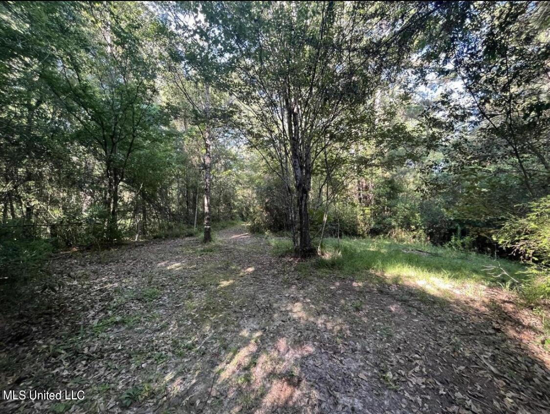 20454 Saucier Advance Road Property Photo 38