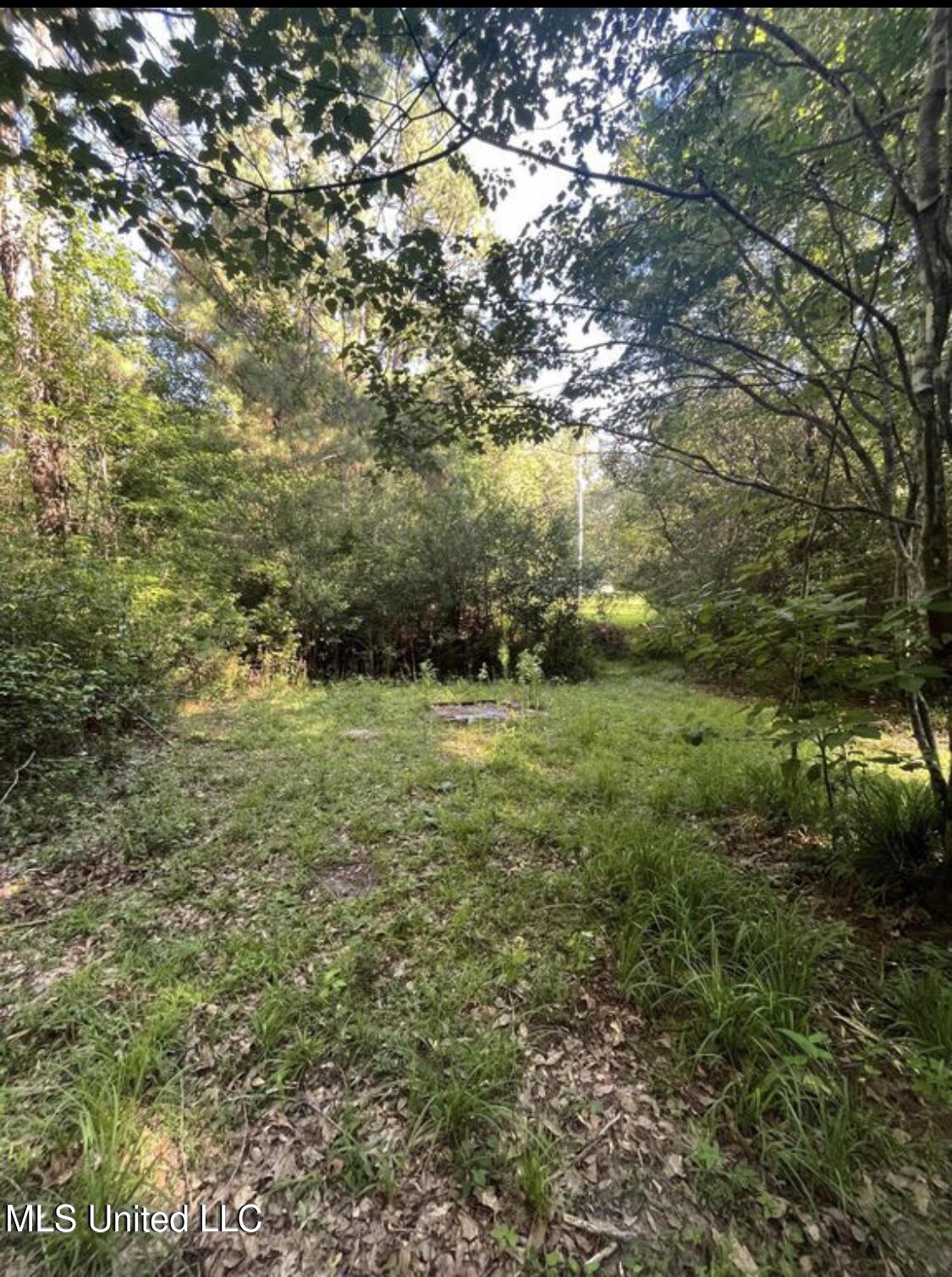 20454 Saucier Advance Road Property Photo 39