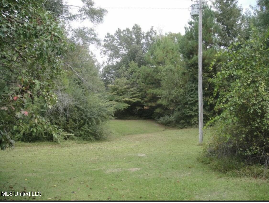 20454 Saucier Advance Road Property Photo 41