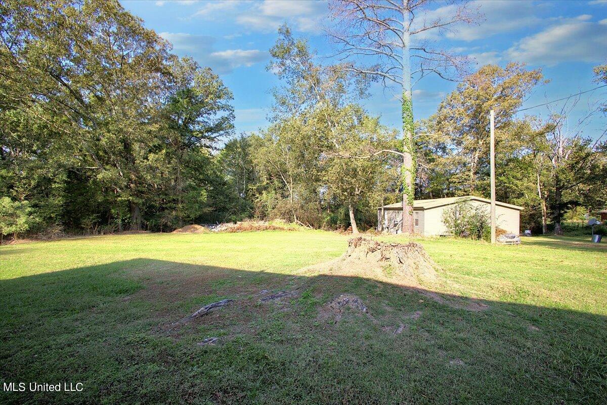 62 Dent Lane Property Photo 12