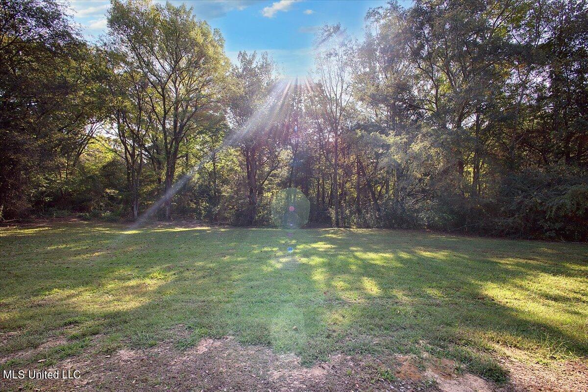 62 Dent Lane Property Photo 14