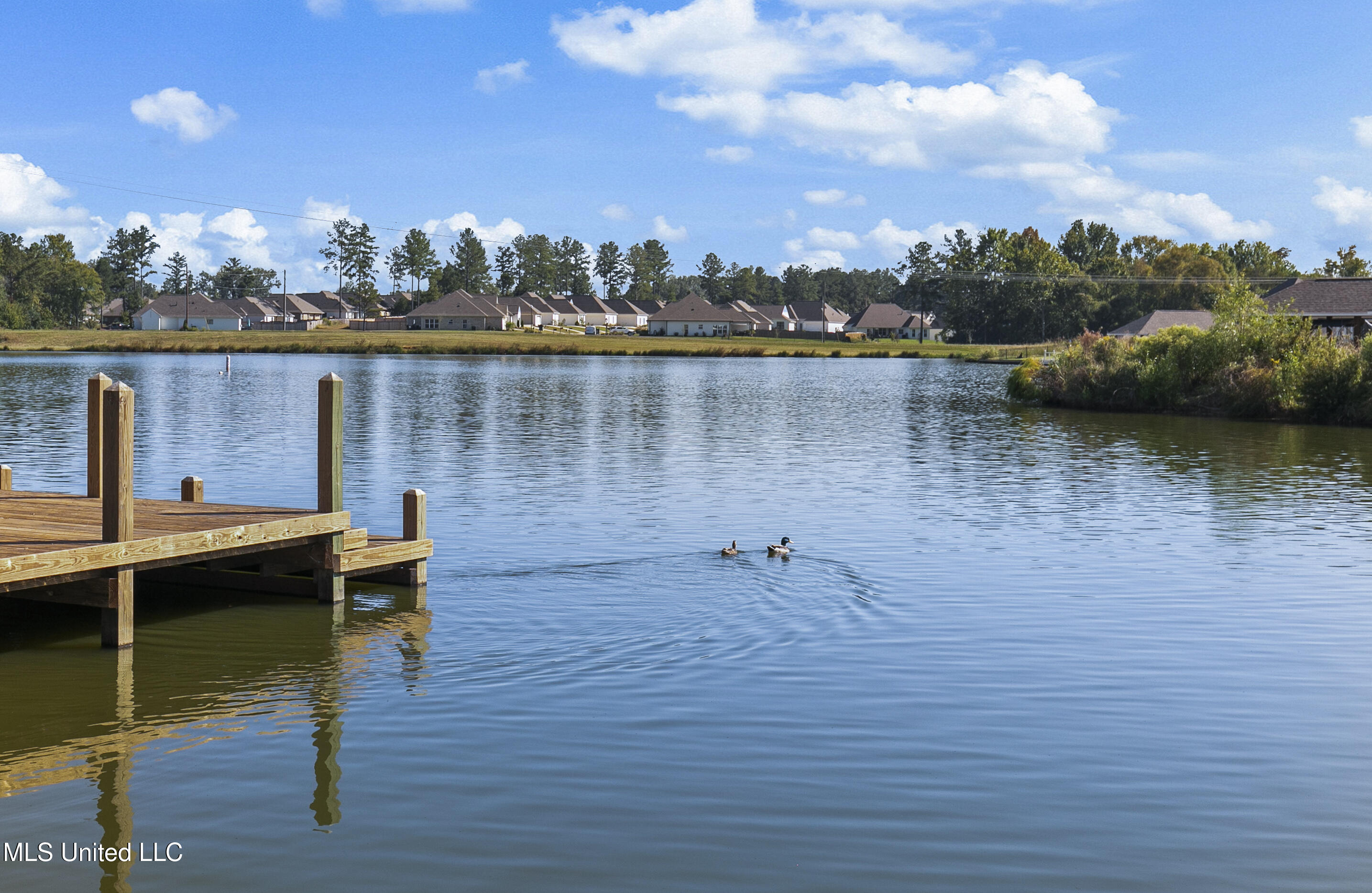 126 Herons Bay Circle Property Photo 64