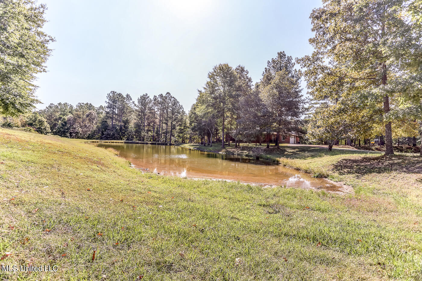 1351 Dorse Road Property Photo 67