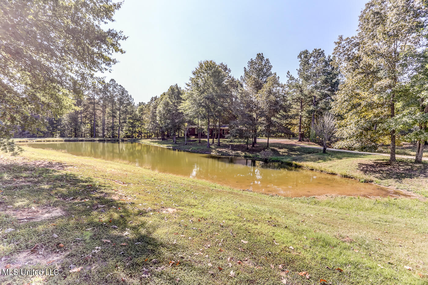 1351 Dorse Road Property Photo 68