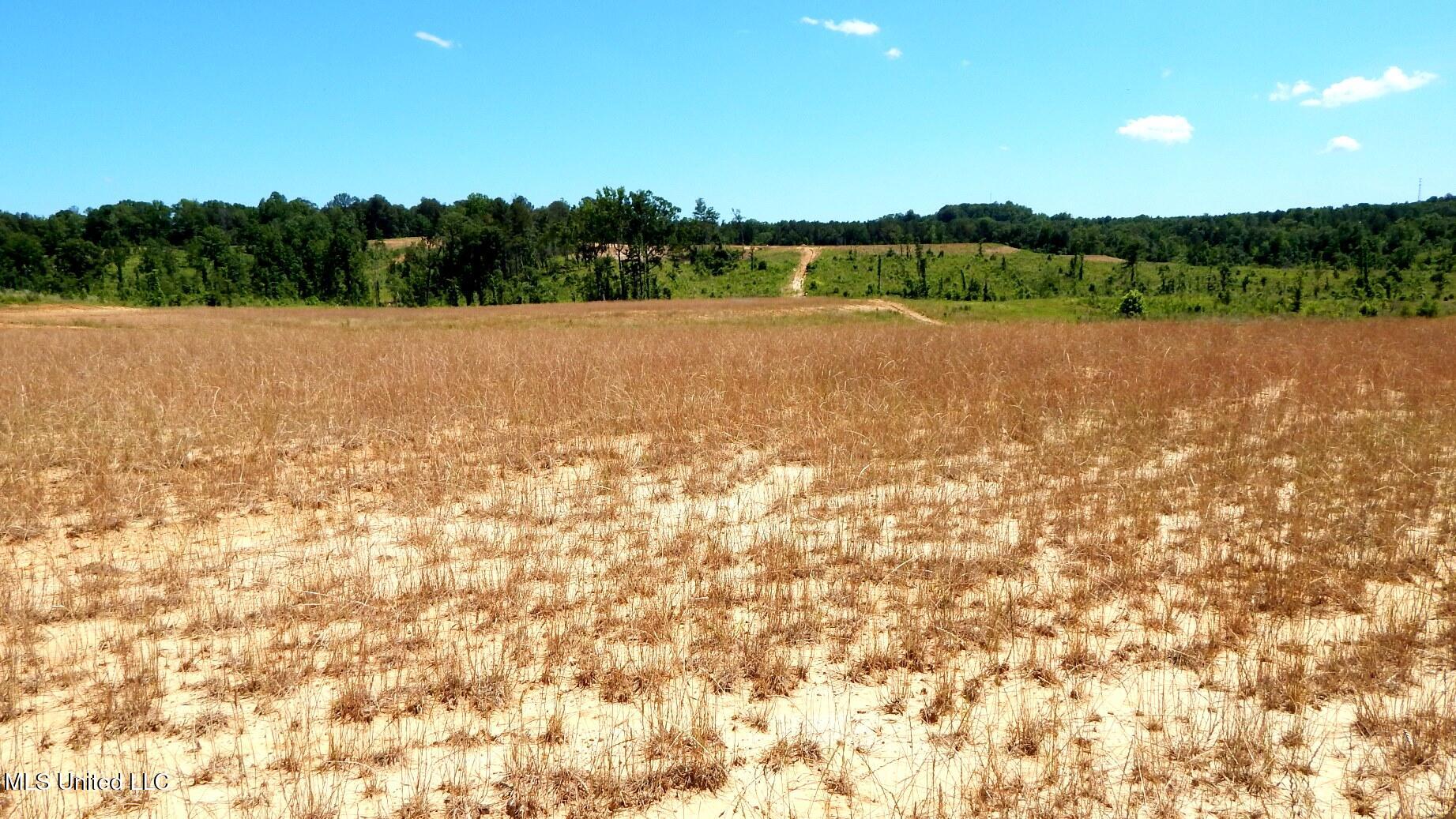 210 Hugh White State Park Road Property Photo 1