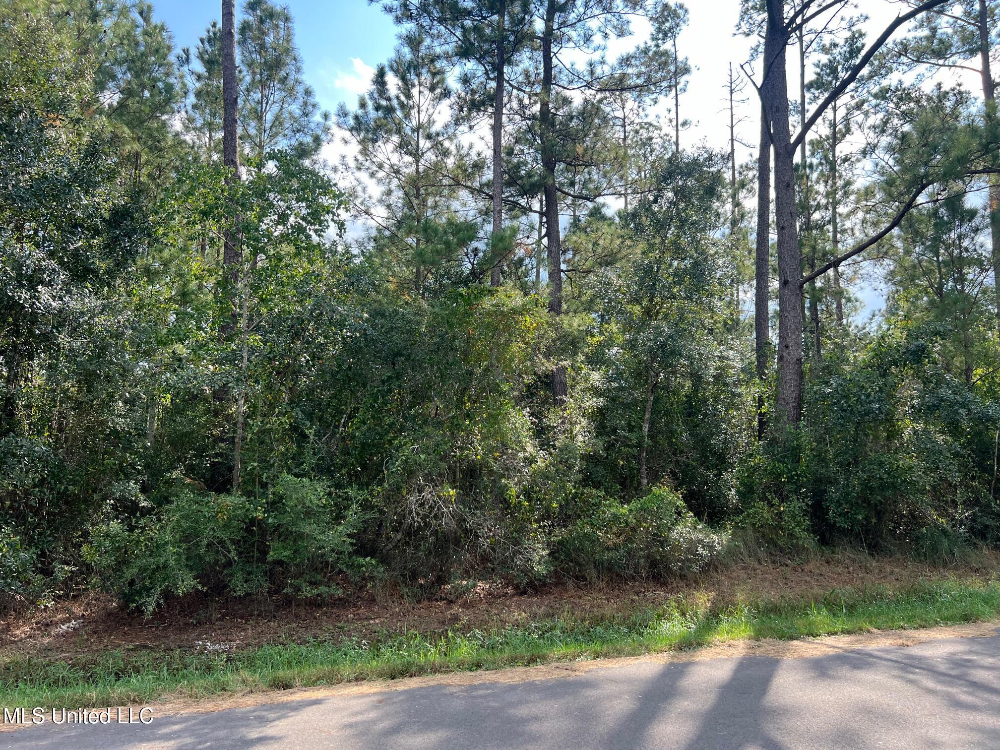 Tyler Street Property Photo 1