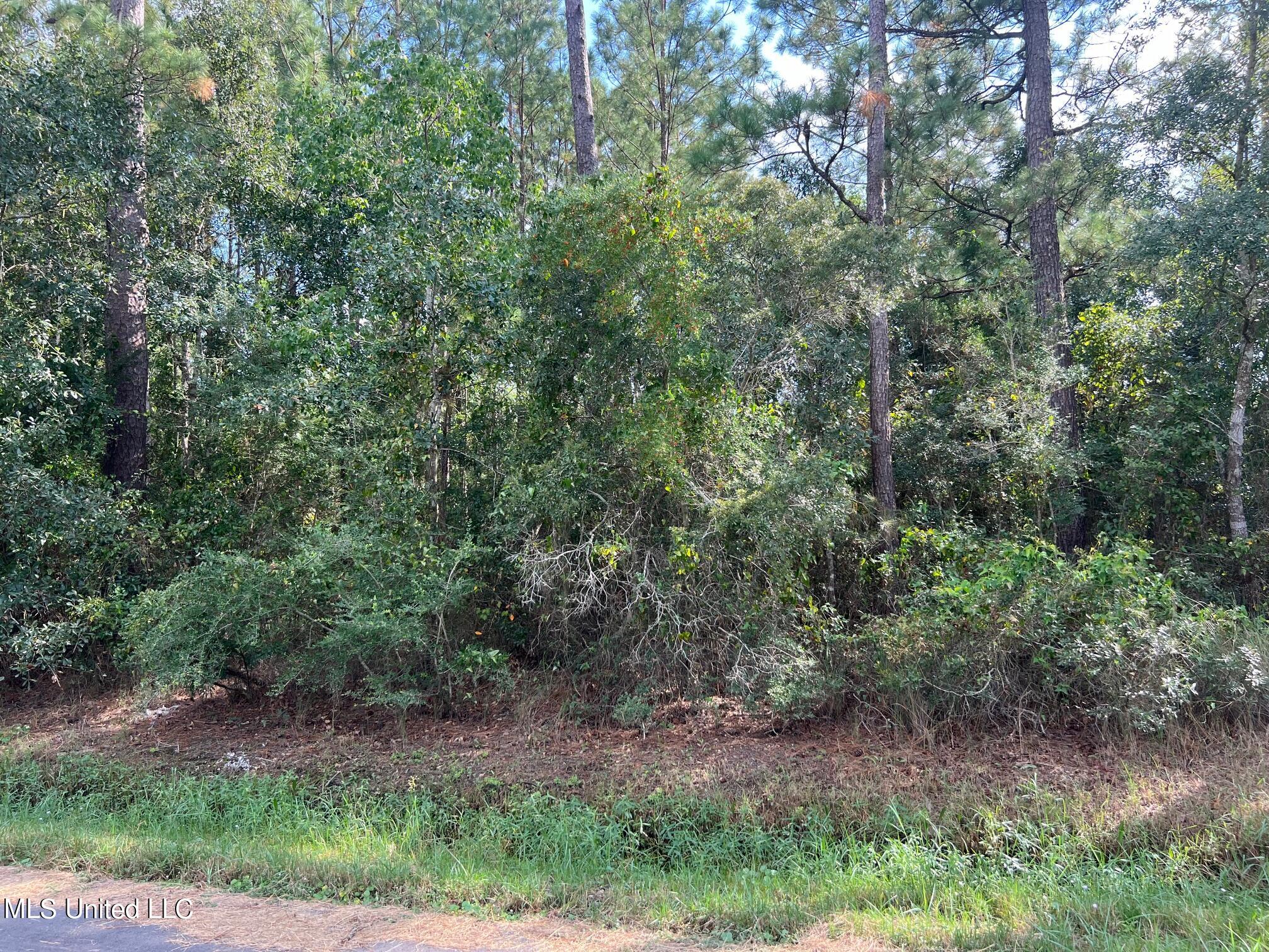 Tyler Street Property Photo 2