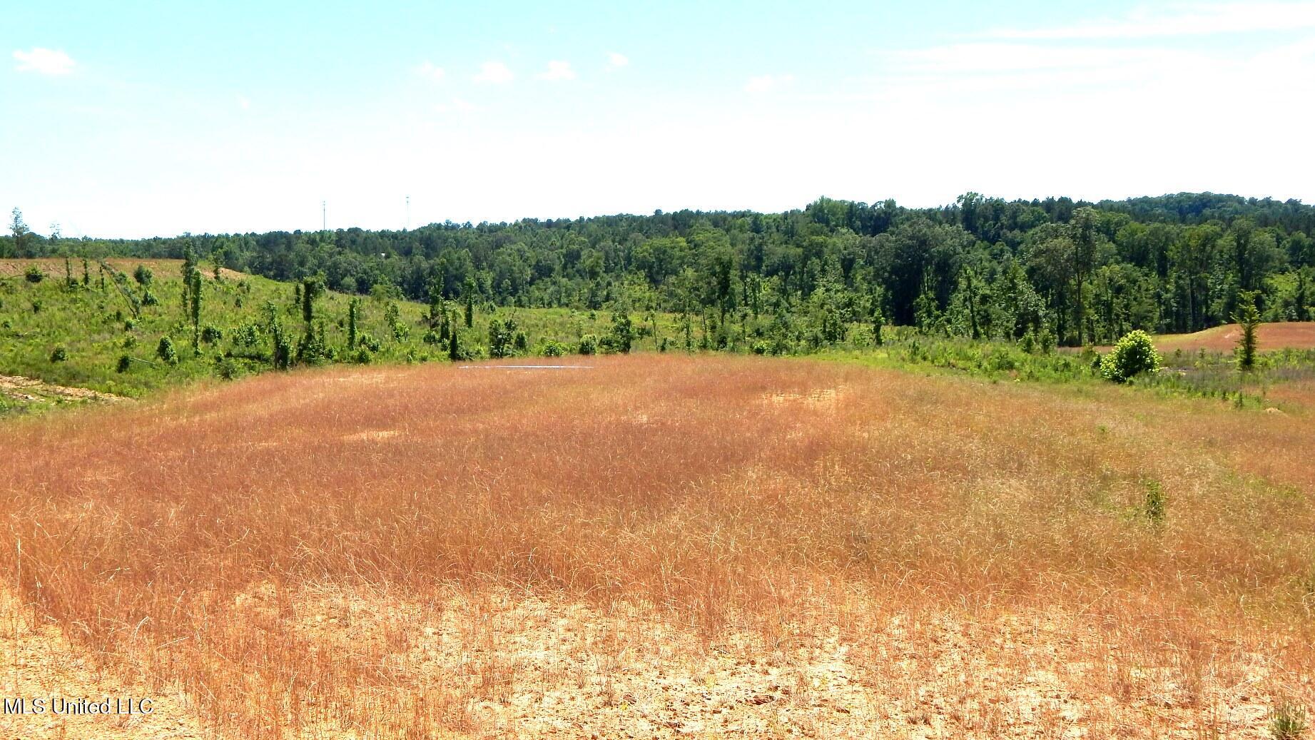 211 Hugh White State Park Road Property Photo 1