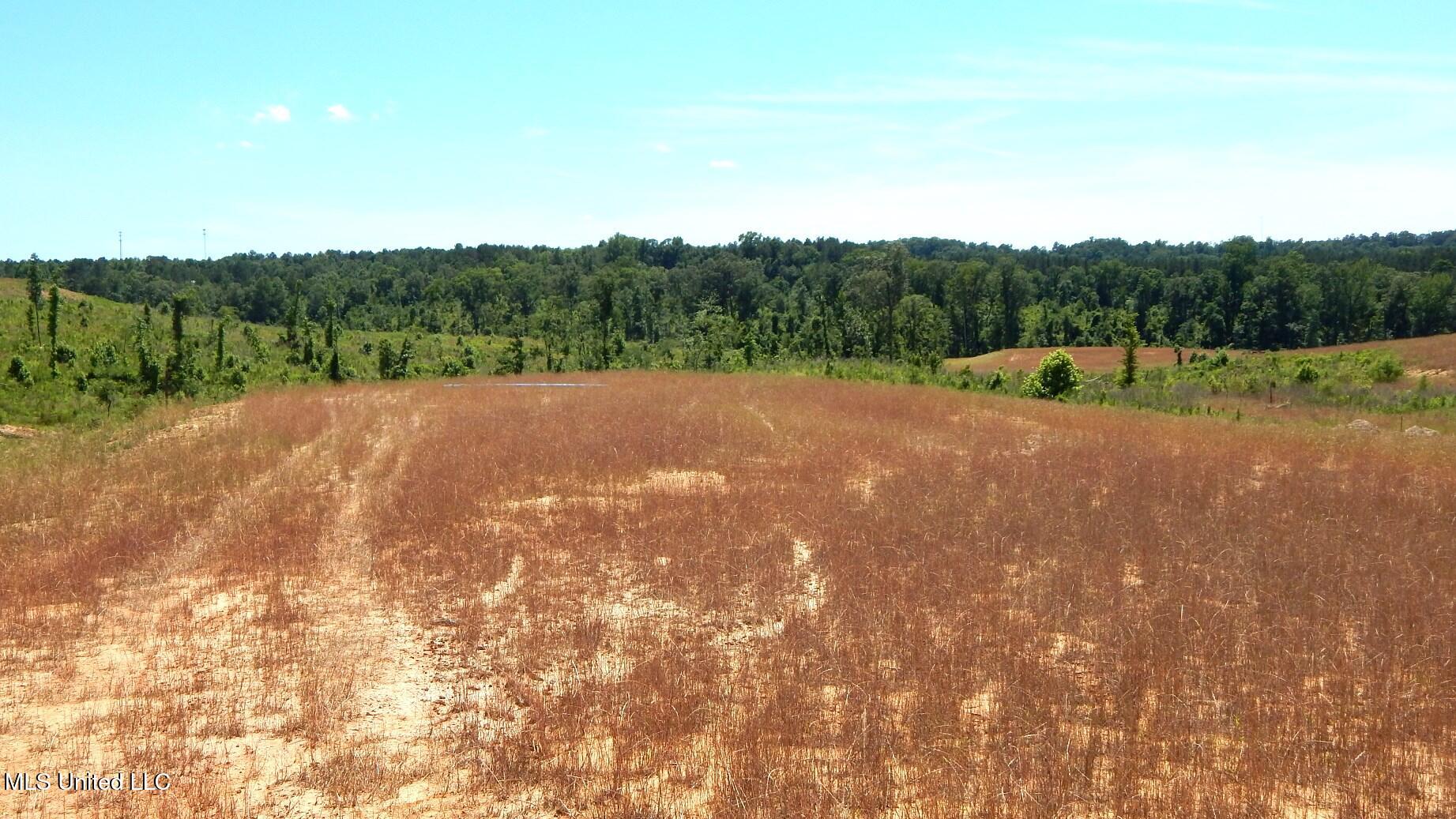 211 Hugh White State Park Road Property Photo 2
