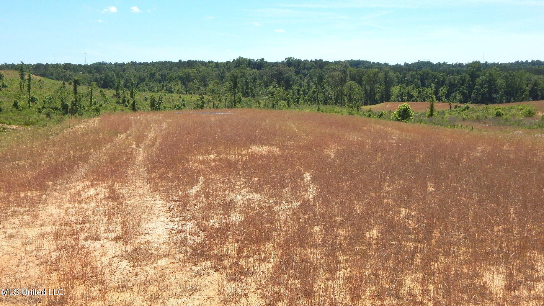 211 Hugh White State Park Road Property Photo 3