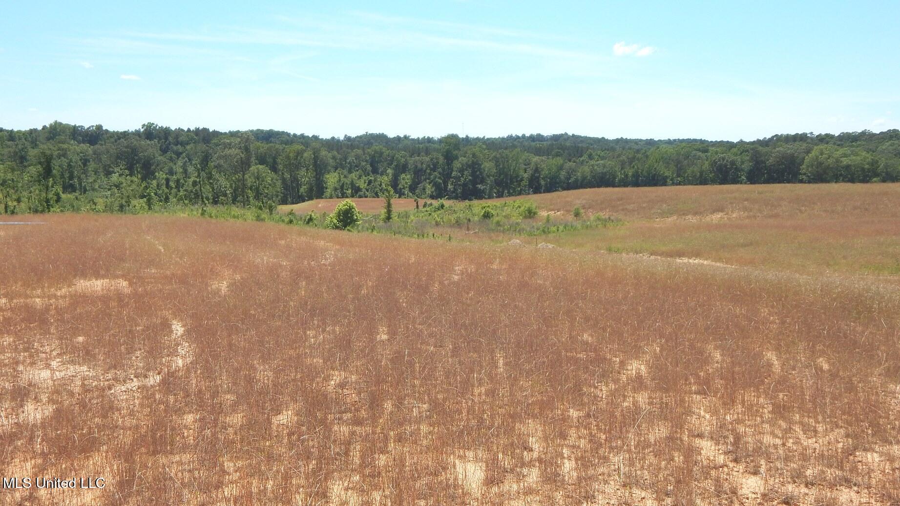 211 Hugh White State Park Road Property Photo 4