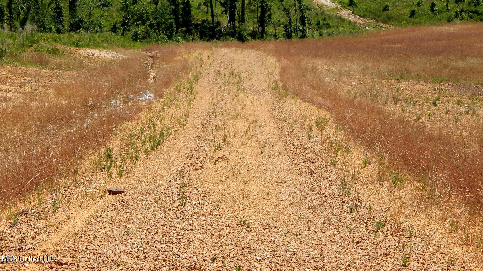 211 Hugh White State Park Road Property Photo 5