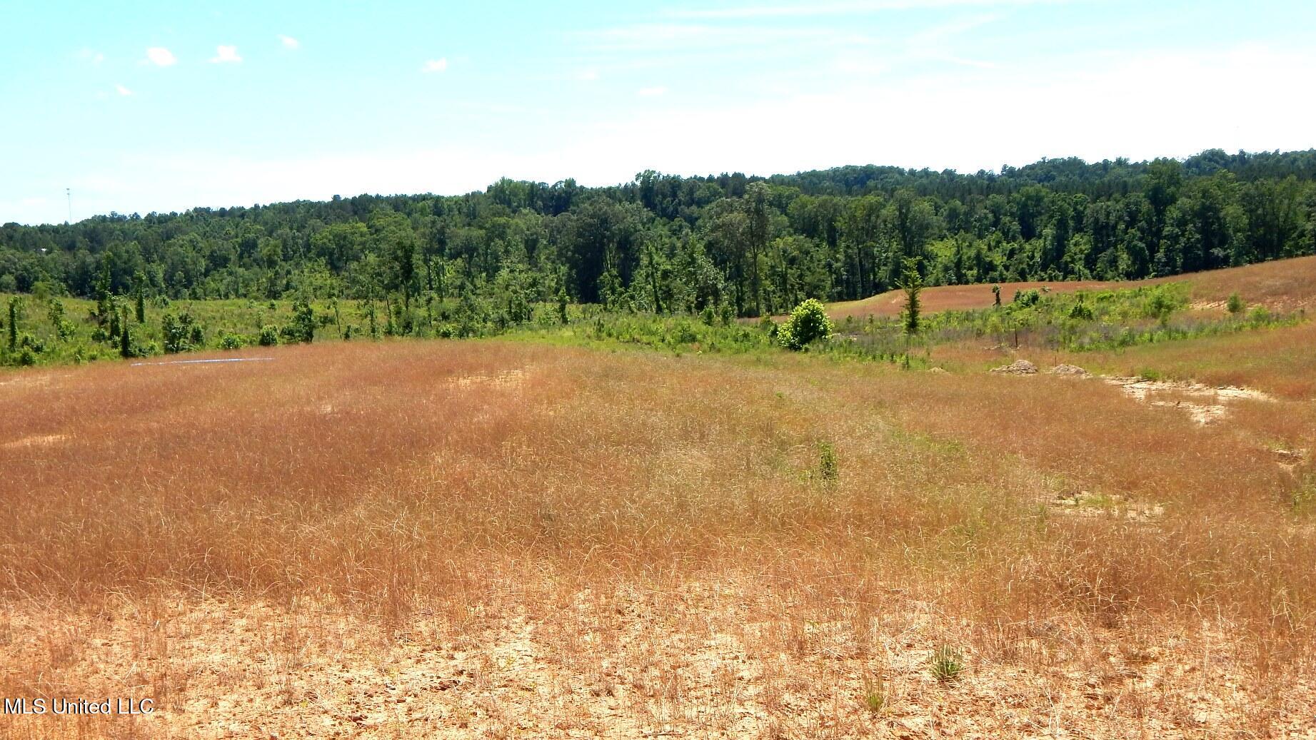 211 Hugh White State Park Road Property Photo 6