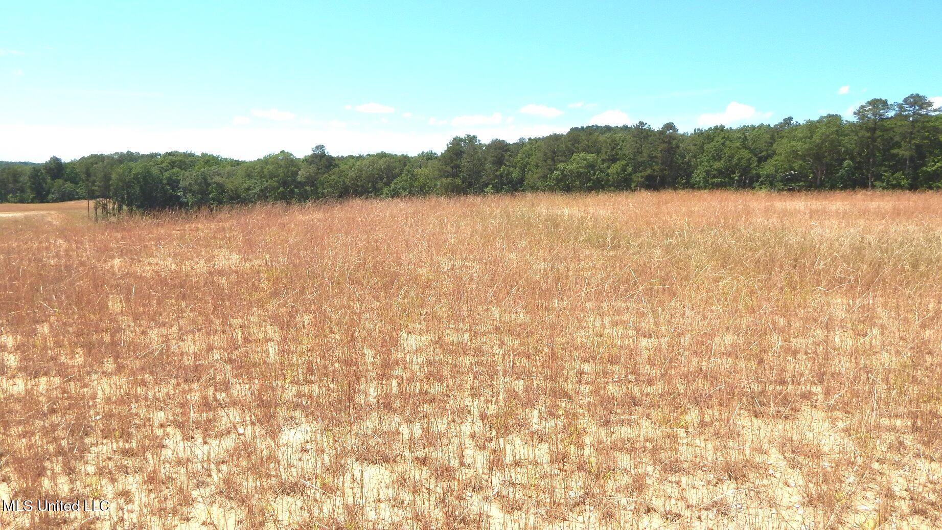 612a Hugh White State Park Road Property Photo 1