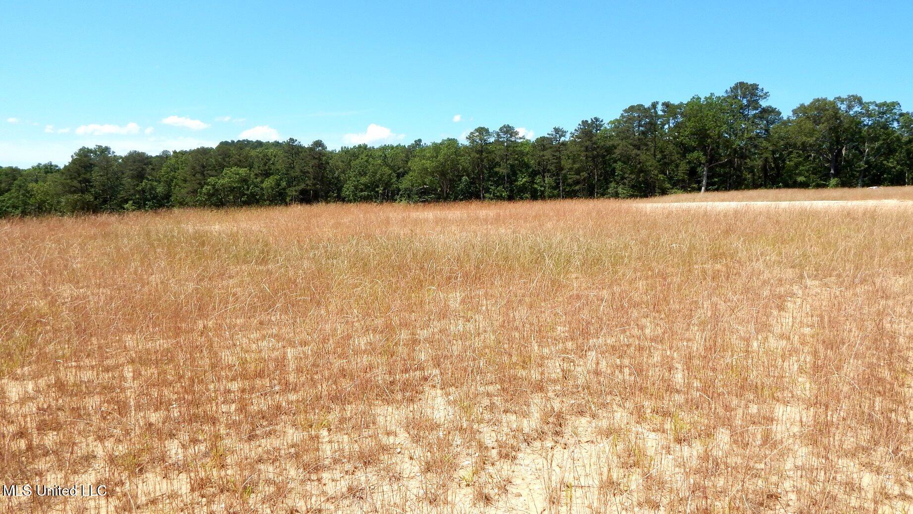 612a Hugh White State Park Road Property Photo 2
