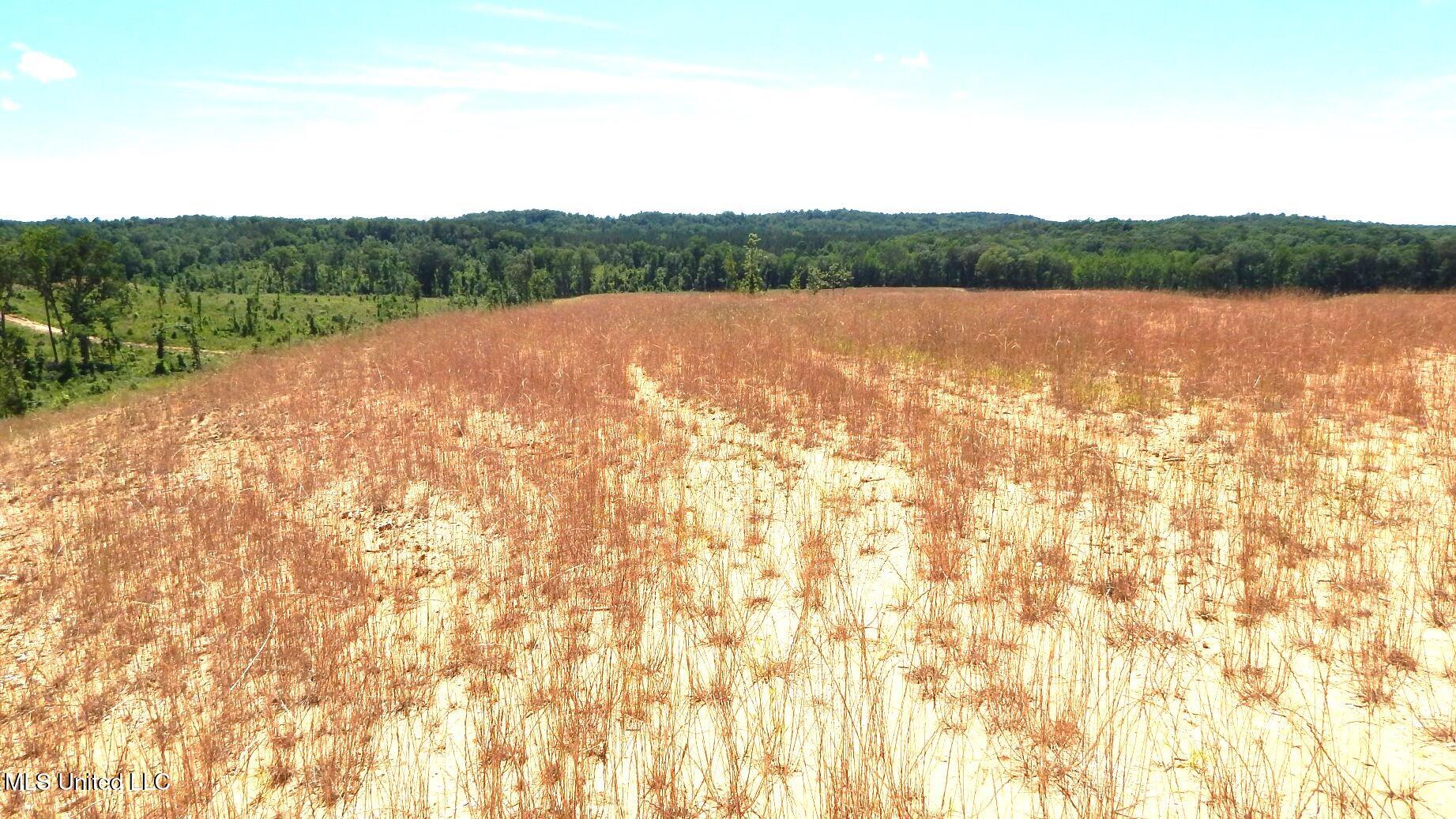 612a Hugh White State Park Road Property Photo 3