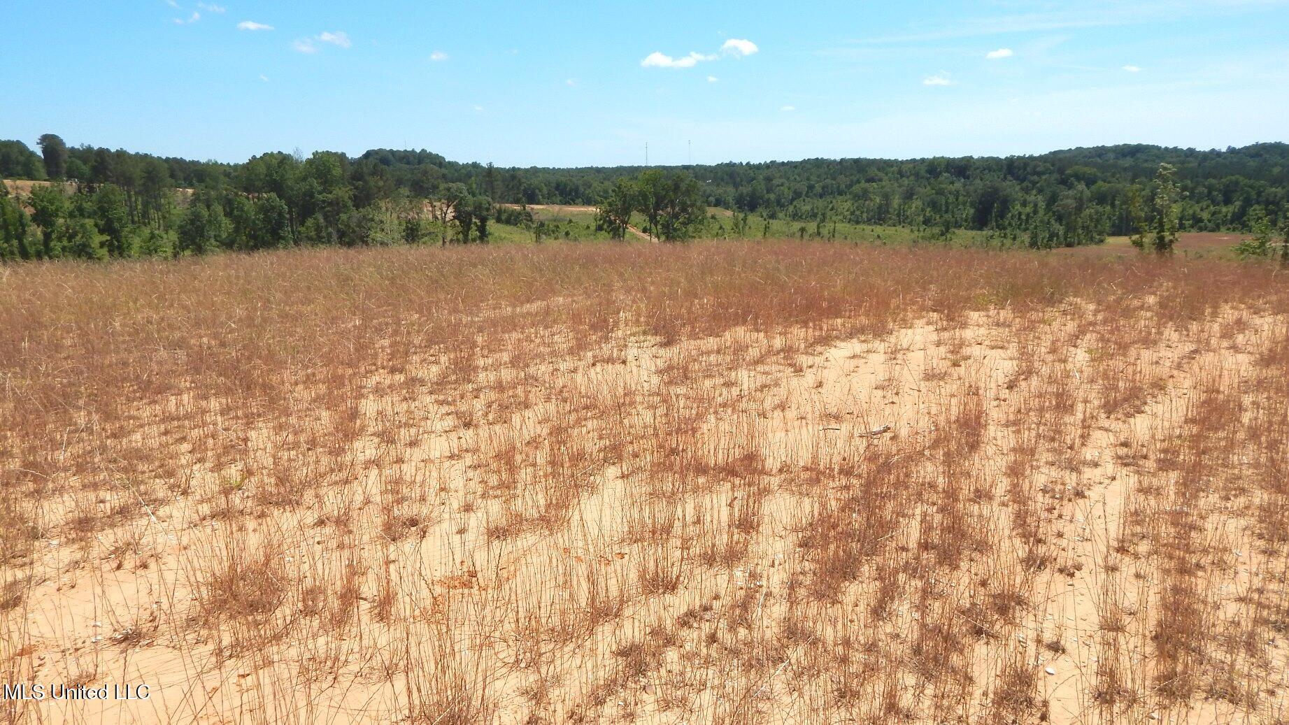 612a Hugh White State Park Road Property Photo 4