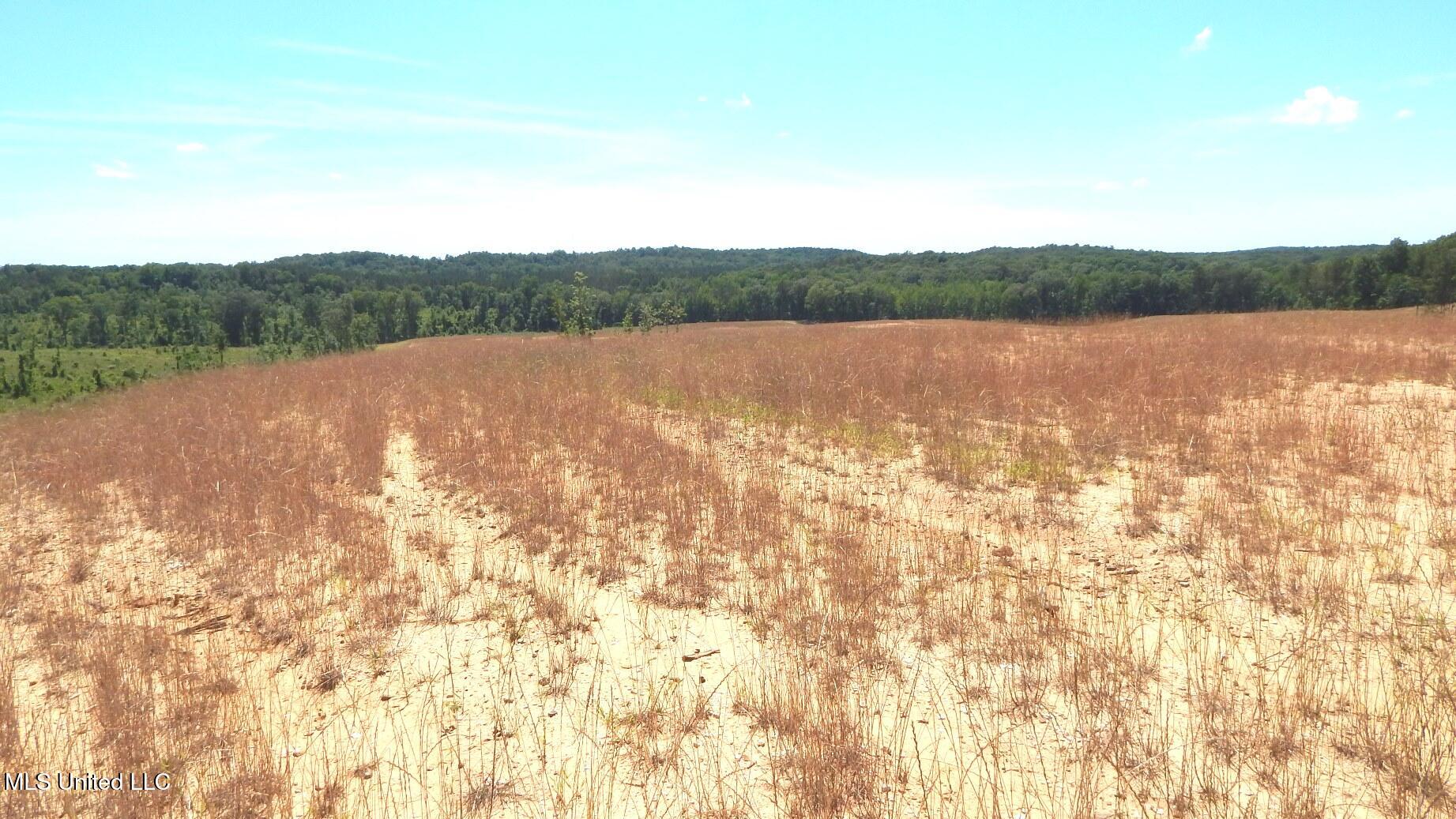 612a Hugh White State Park Road Property Photo 5