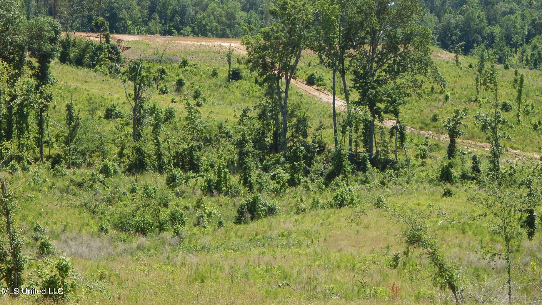 612a Hugh White State Park Road Property Photo 6
