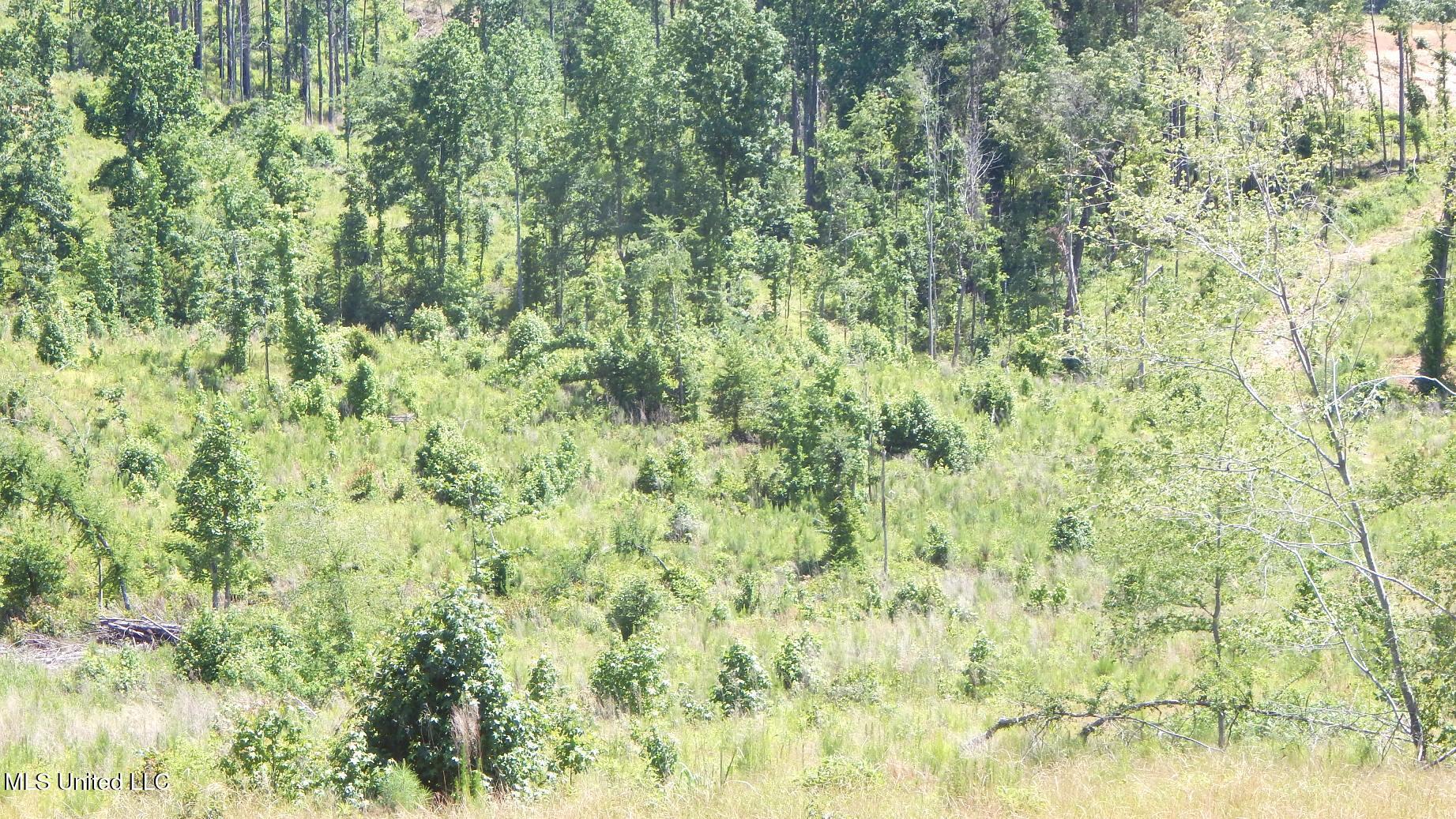 612a Hugh White State Park Road Property Photo 7