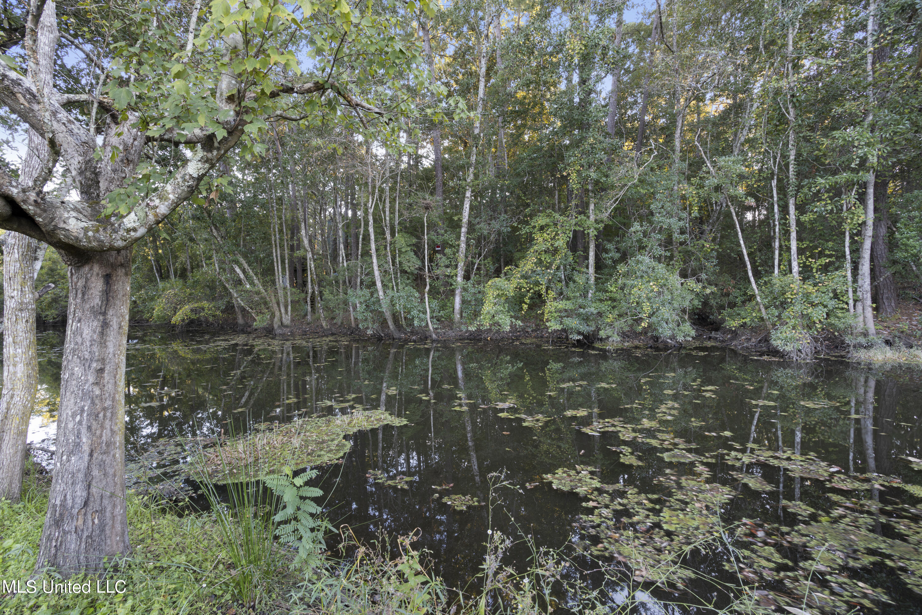 1917 Shady Point Circle Property Photo 9