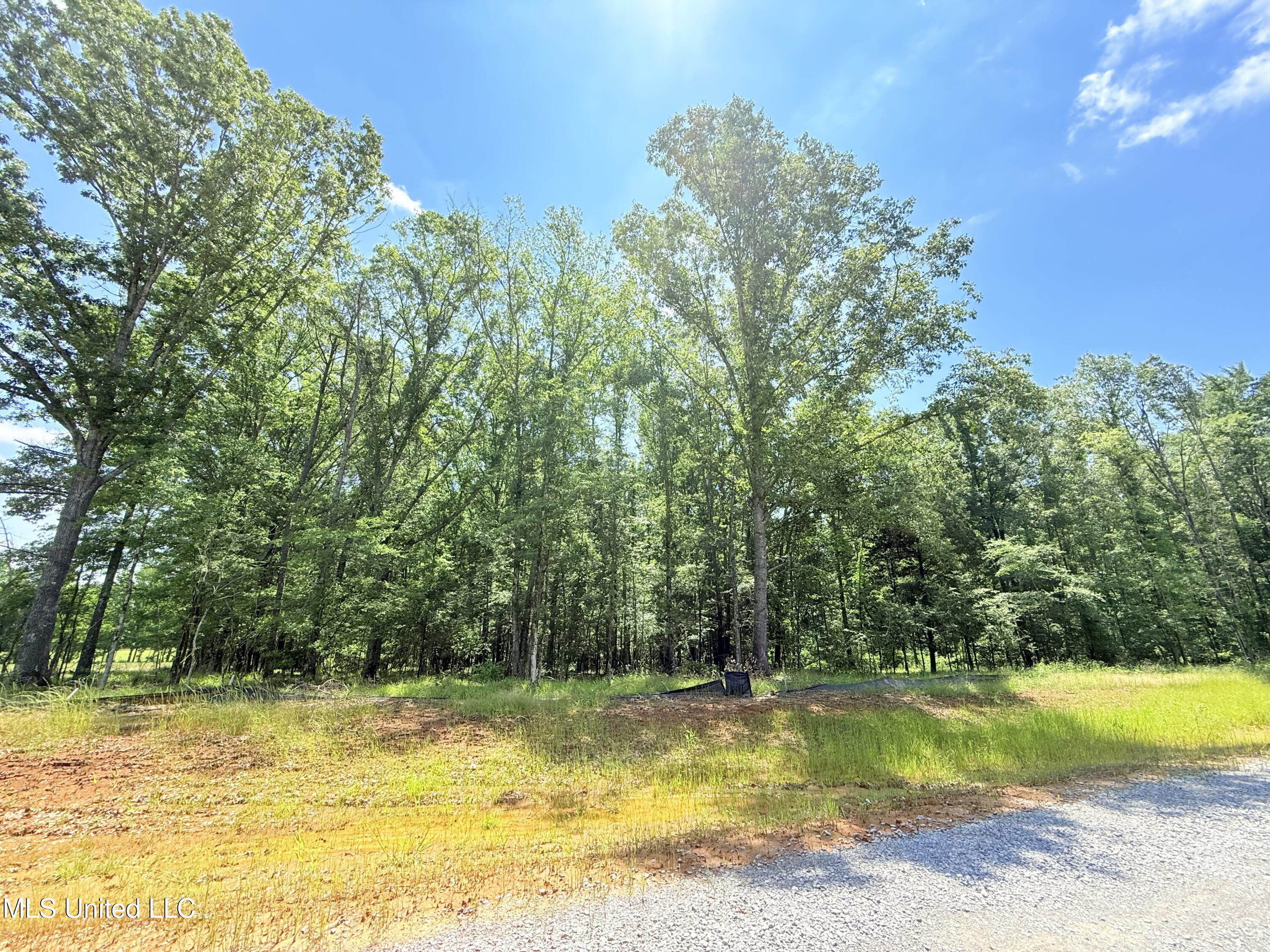 Stout Meadows Lane Property Photo 9