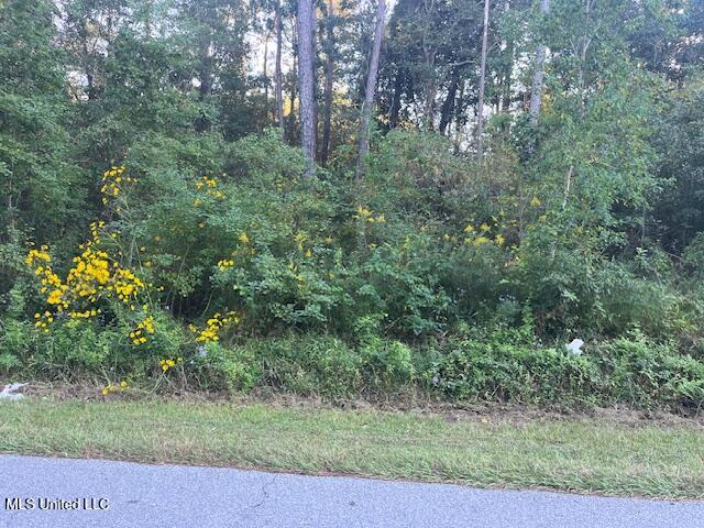 Lot 7 Elm Avenue Property Photo 1