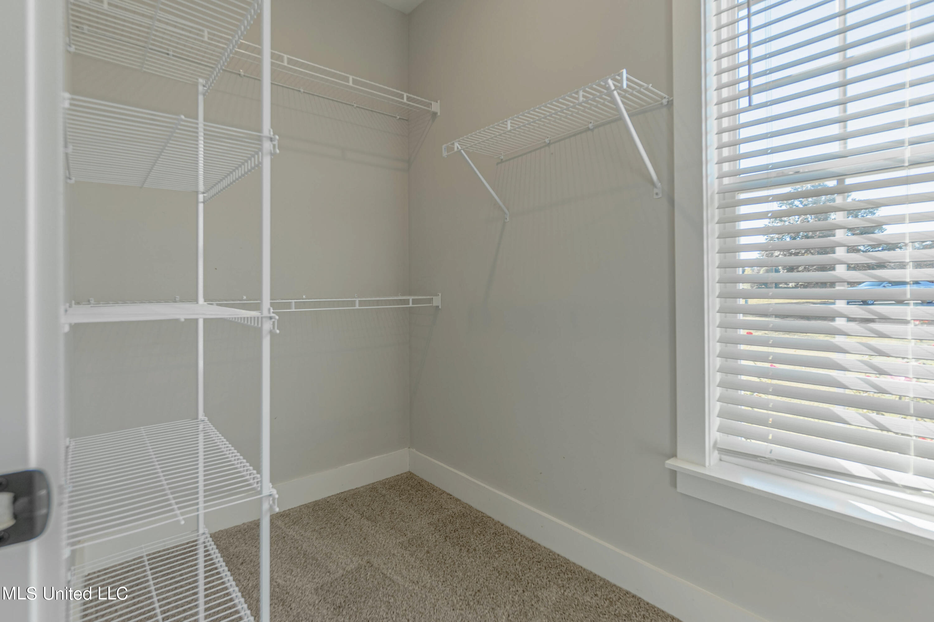 5640 Drew Glazer Drive Property Photo 12