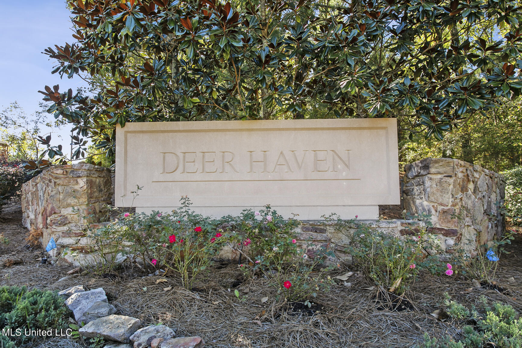283 Deer Haven Drive Property Photo 63